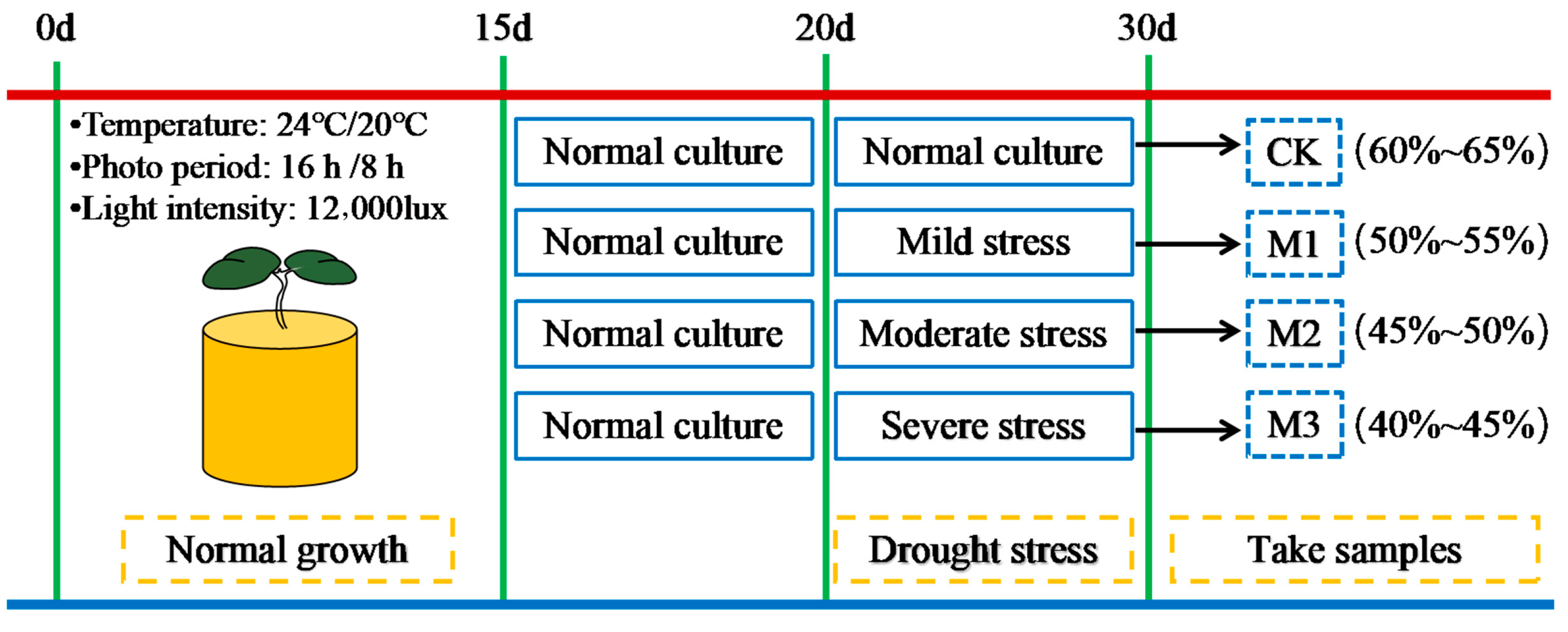 Ijms 26 07824 g016 Ijms 26 07824 g016