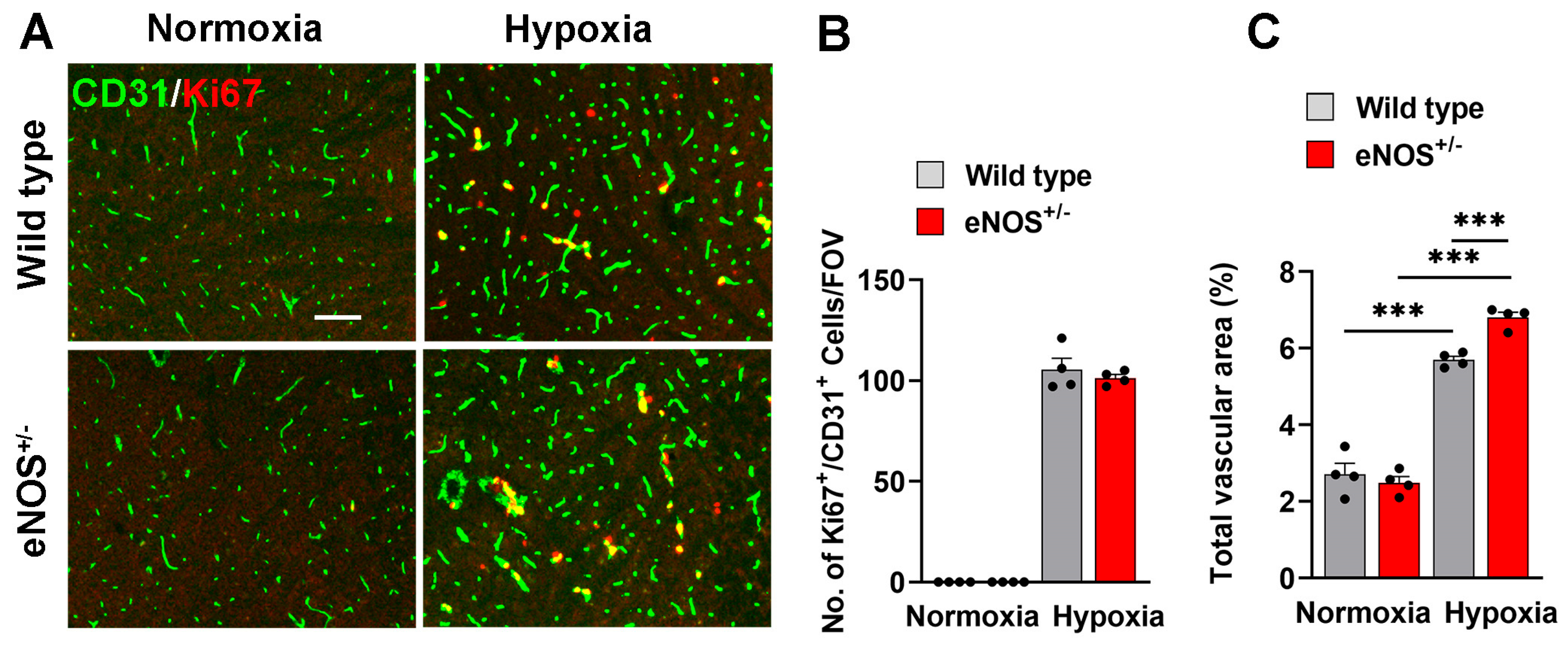 Ijms 26 07902 g003 Ijms 26 07902 g003