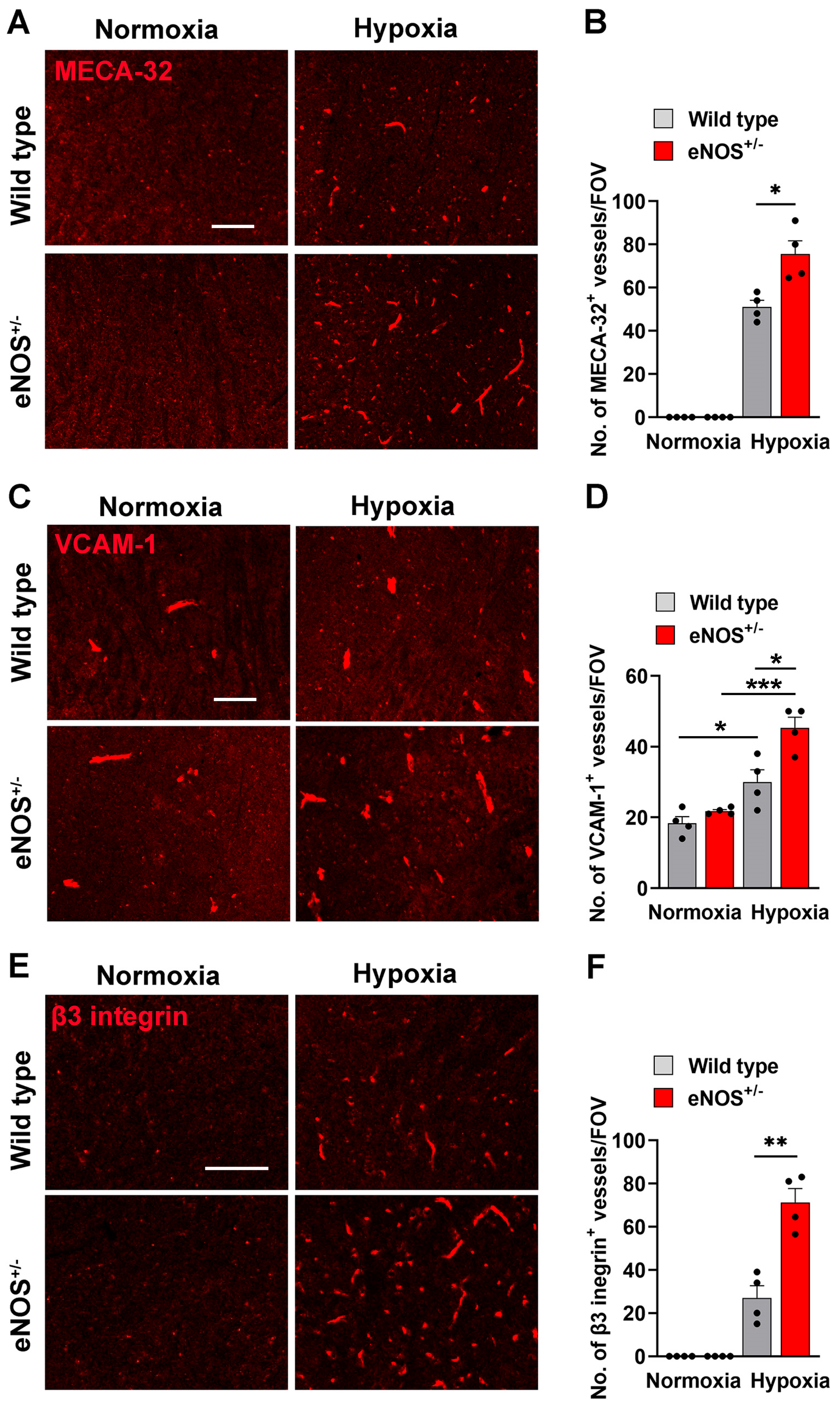 Ijms 26 07902 g004 Ijms 26 07902 g004