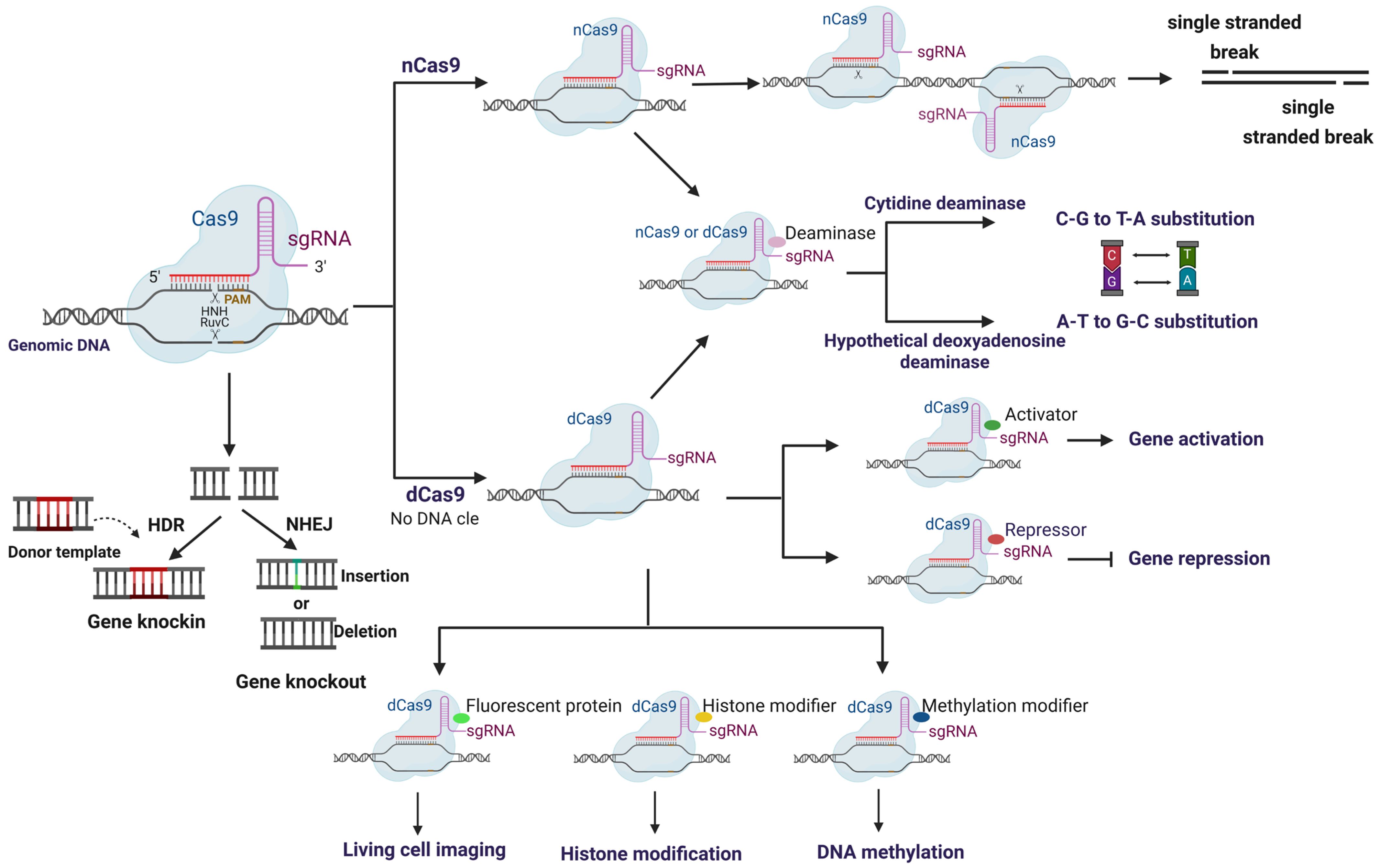 Ijms 26 07925 g002 Ijms 26 07925 g002