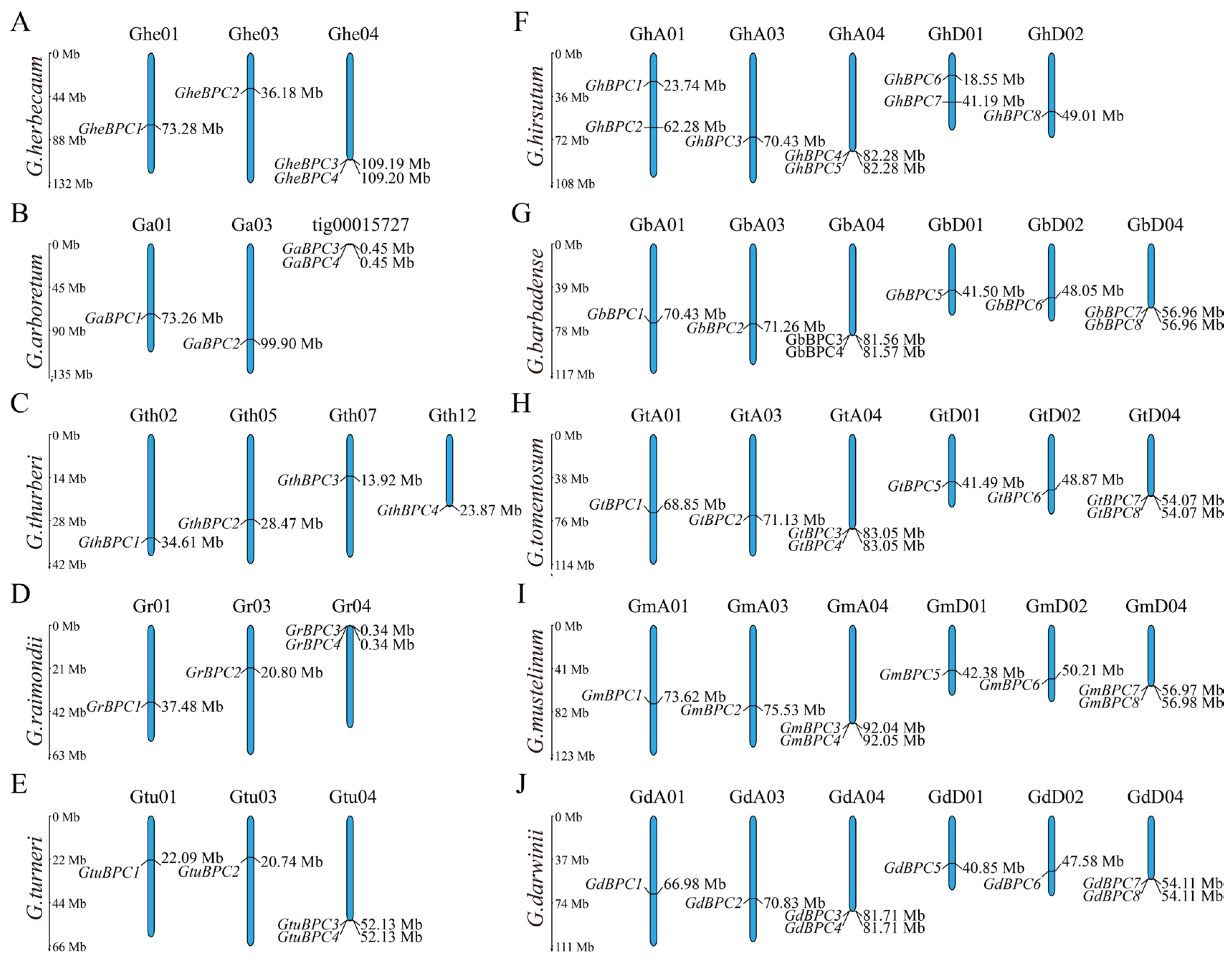 Ijms 26 07978 g001 Ijms 26 07978 g001