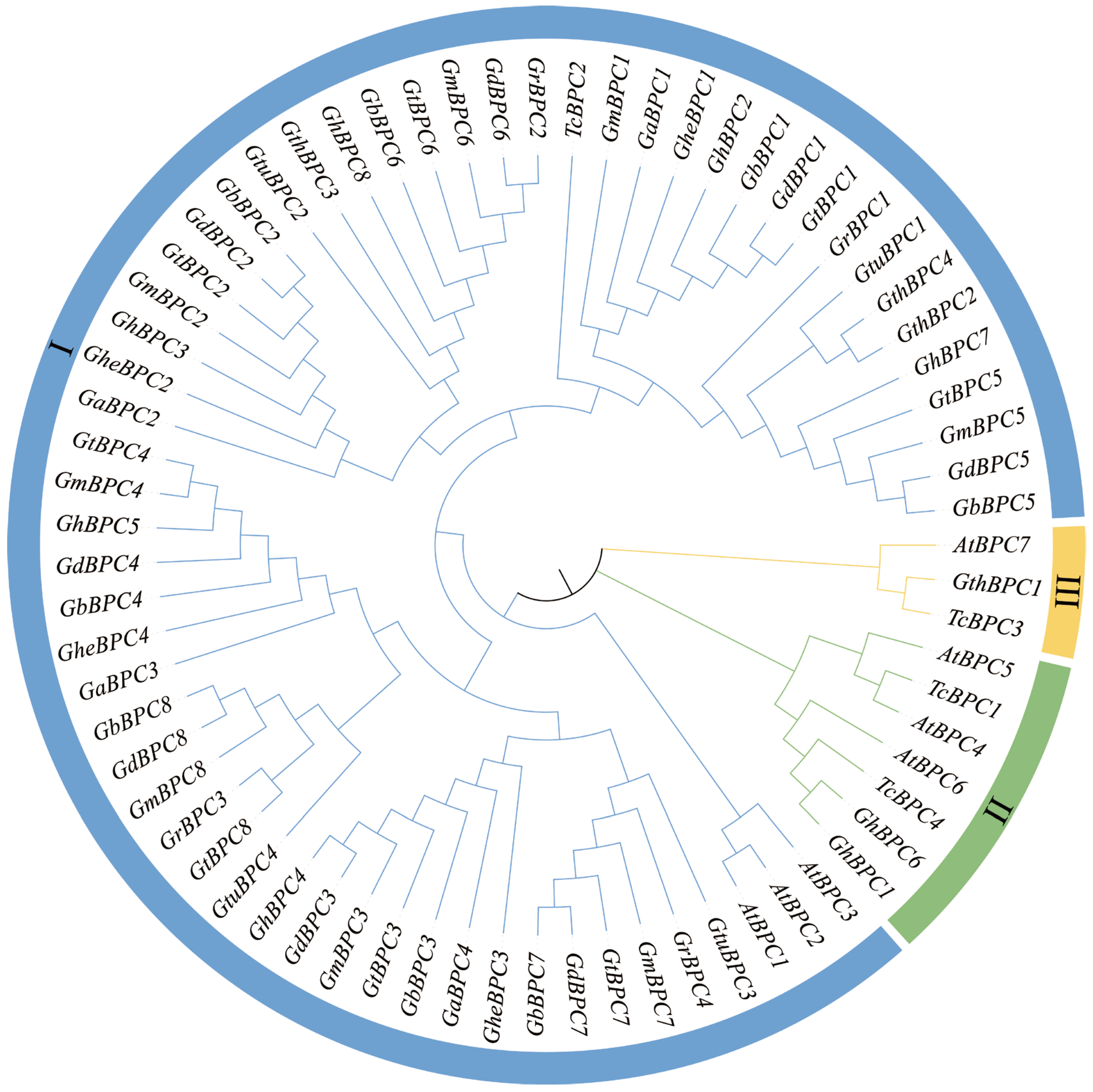 Ijms 26 07978 g002 Ijms 26 07978 g002