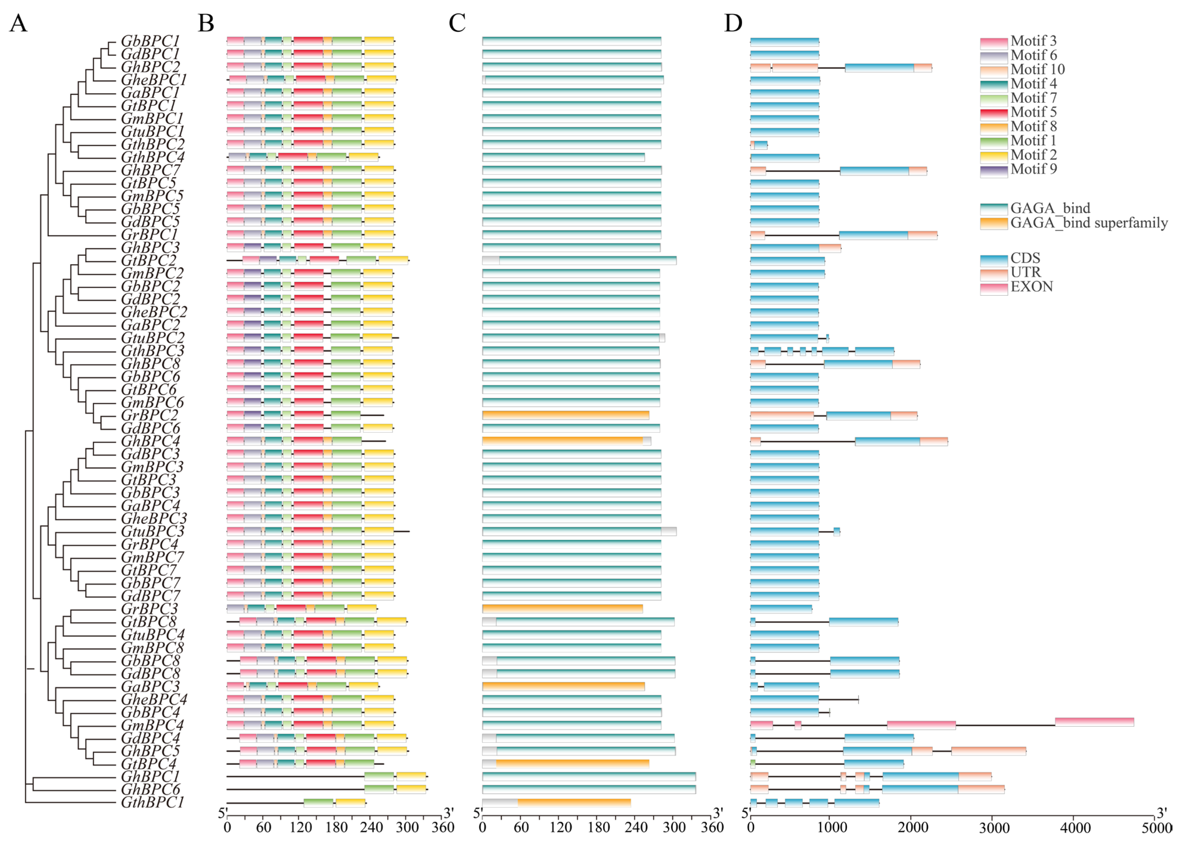Ijms 26 07978 g003 Ijms 26 07978 g003