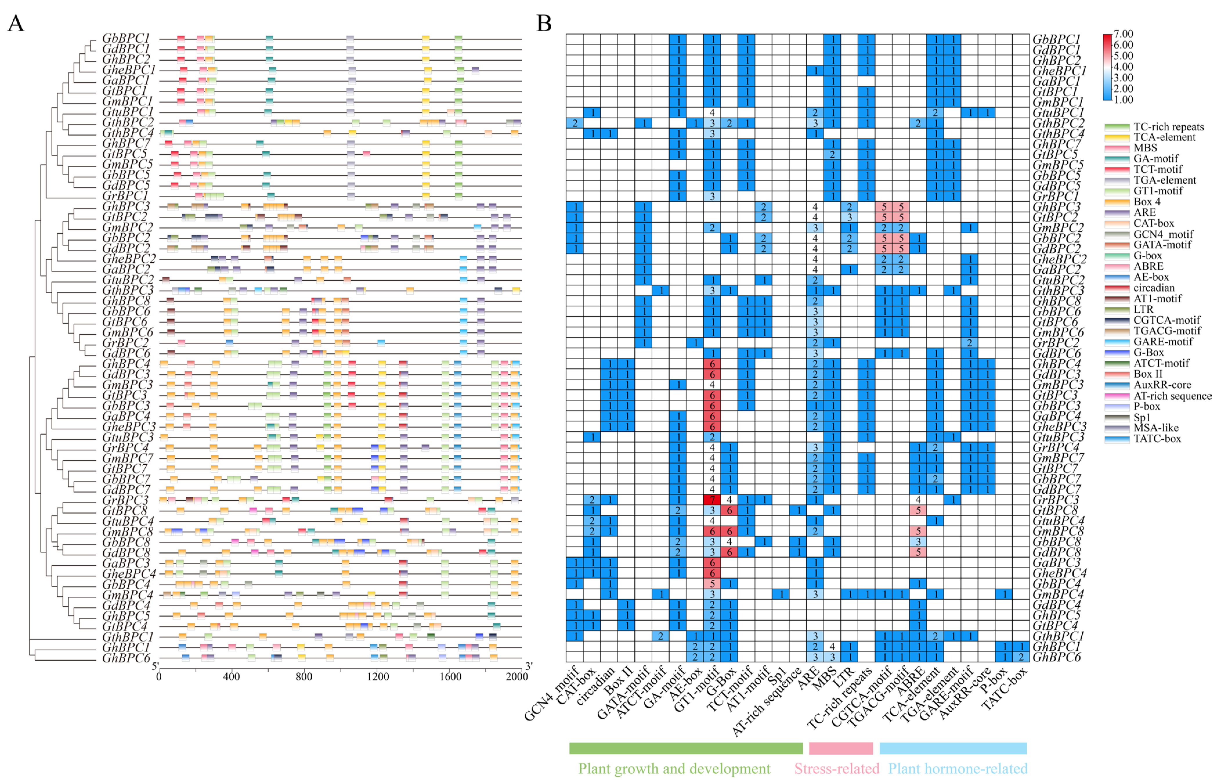 Ijms 26 07978 g004 Ijms 26 07978 g004
