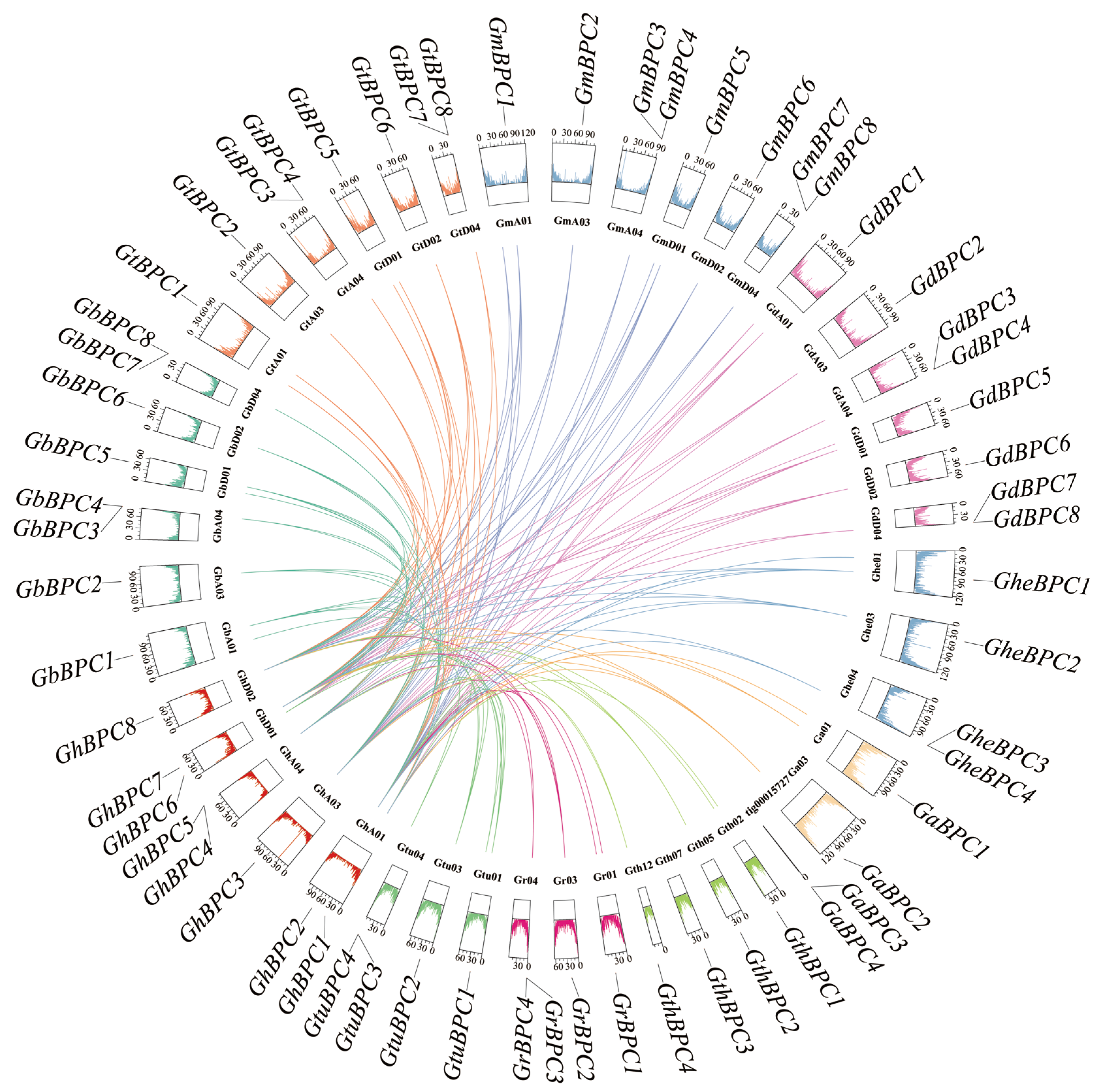 Ijms 26 07978 g005 Ijms 26 07978 g005