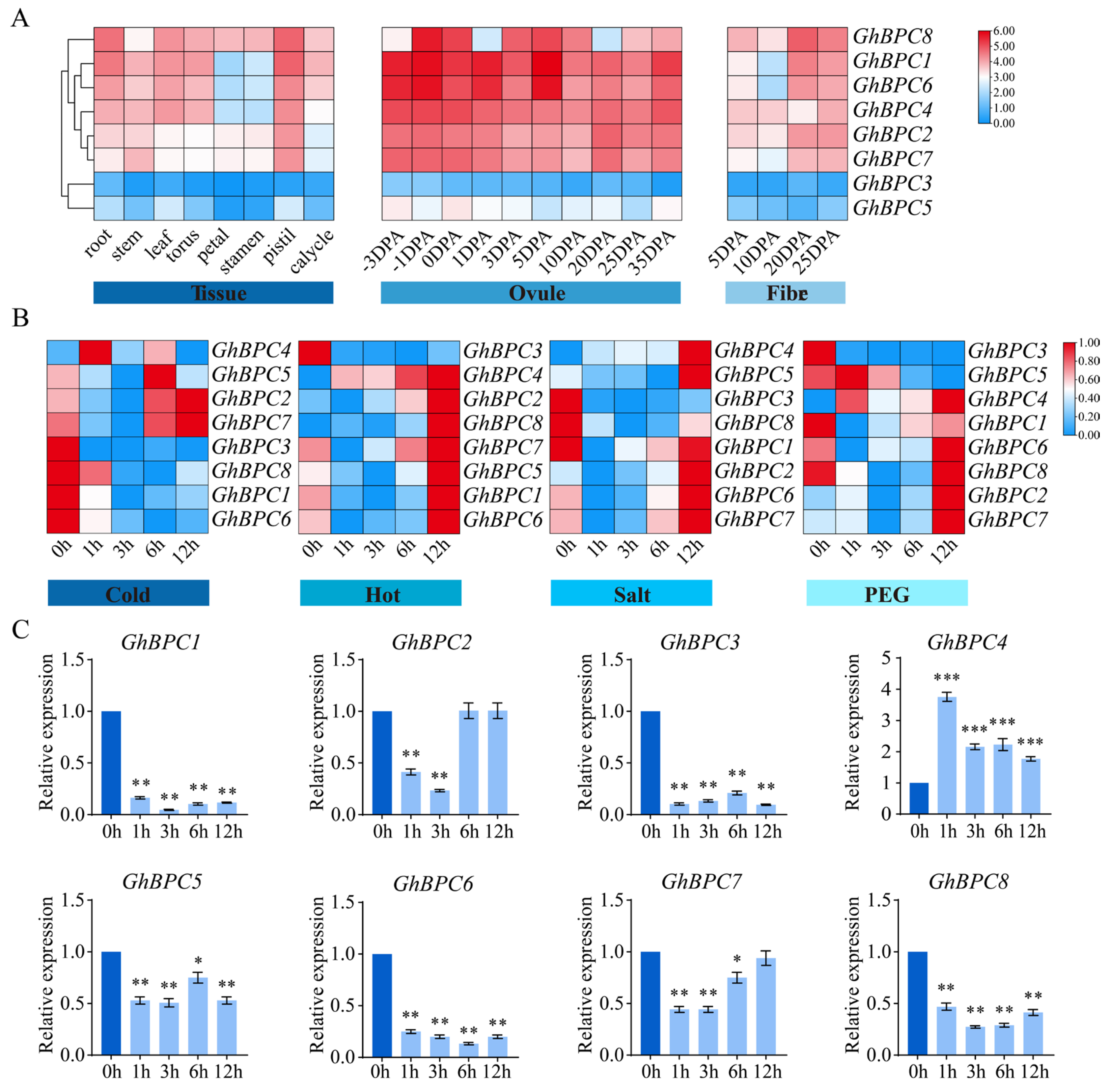 Ijms 26 07978 g006 Ijms 26 07978 g006
