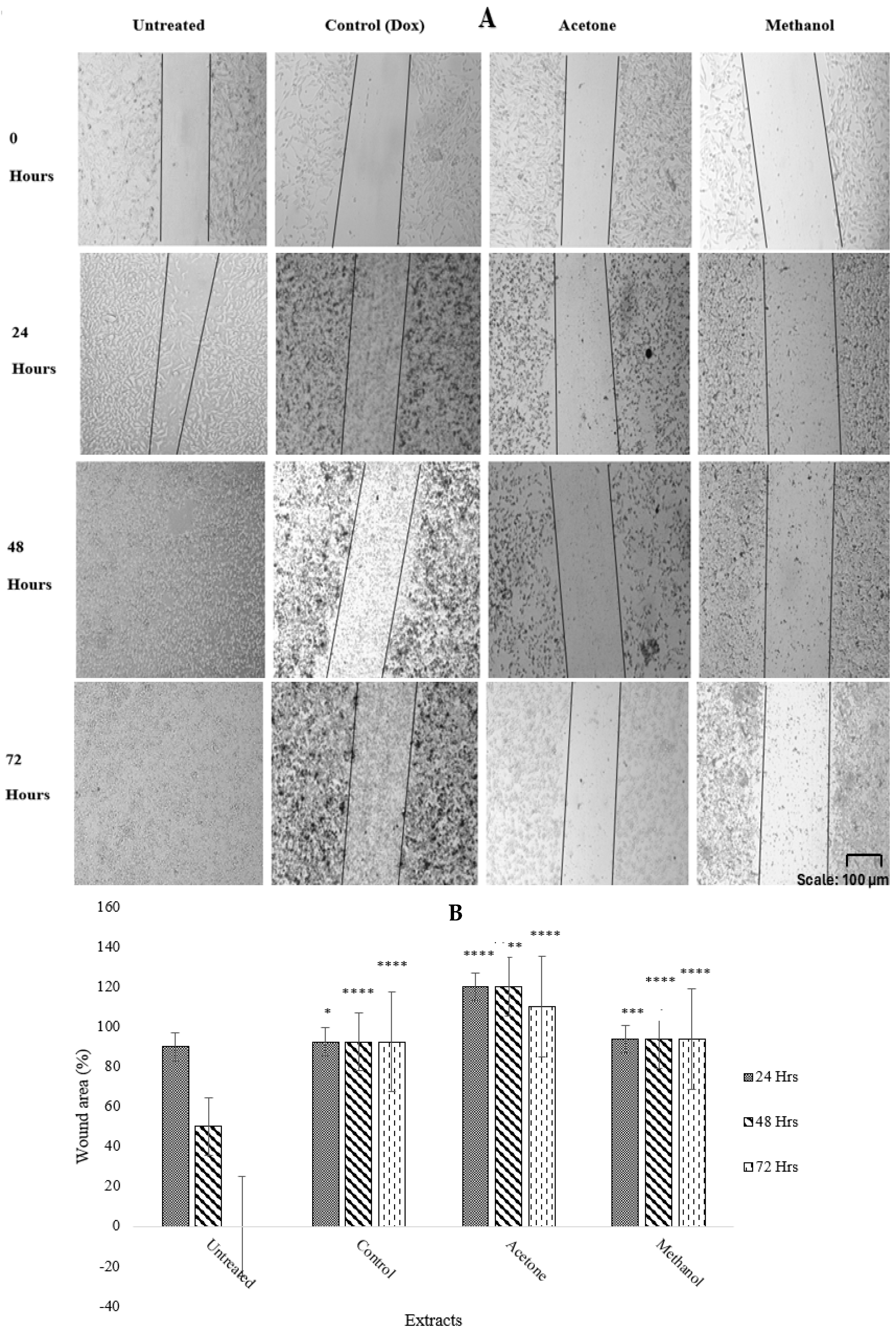 Ijms 26 08065 g003 Ijms 26 08065 g003
