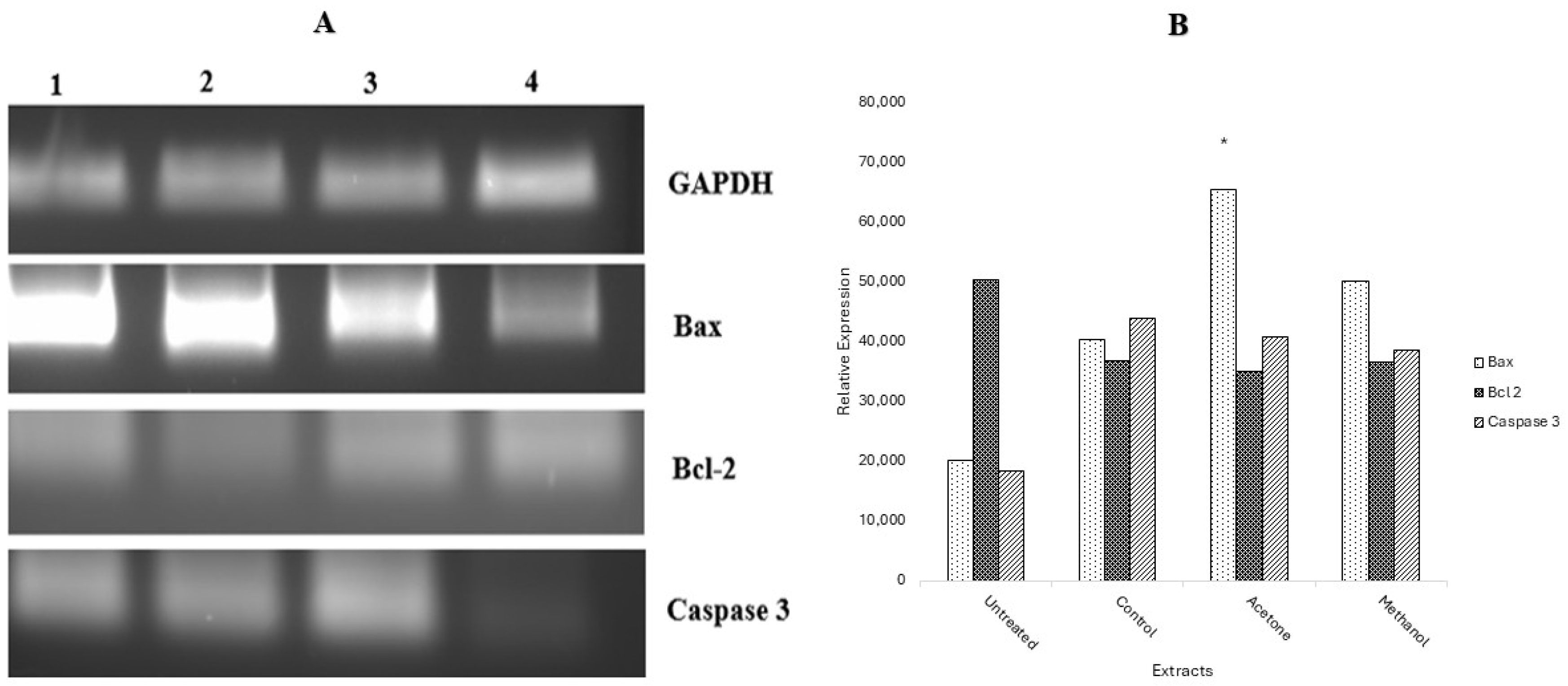 Ijms 26 08065 g006 Ijms 26 08065 g006