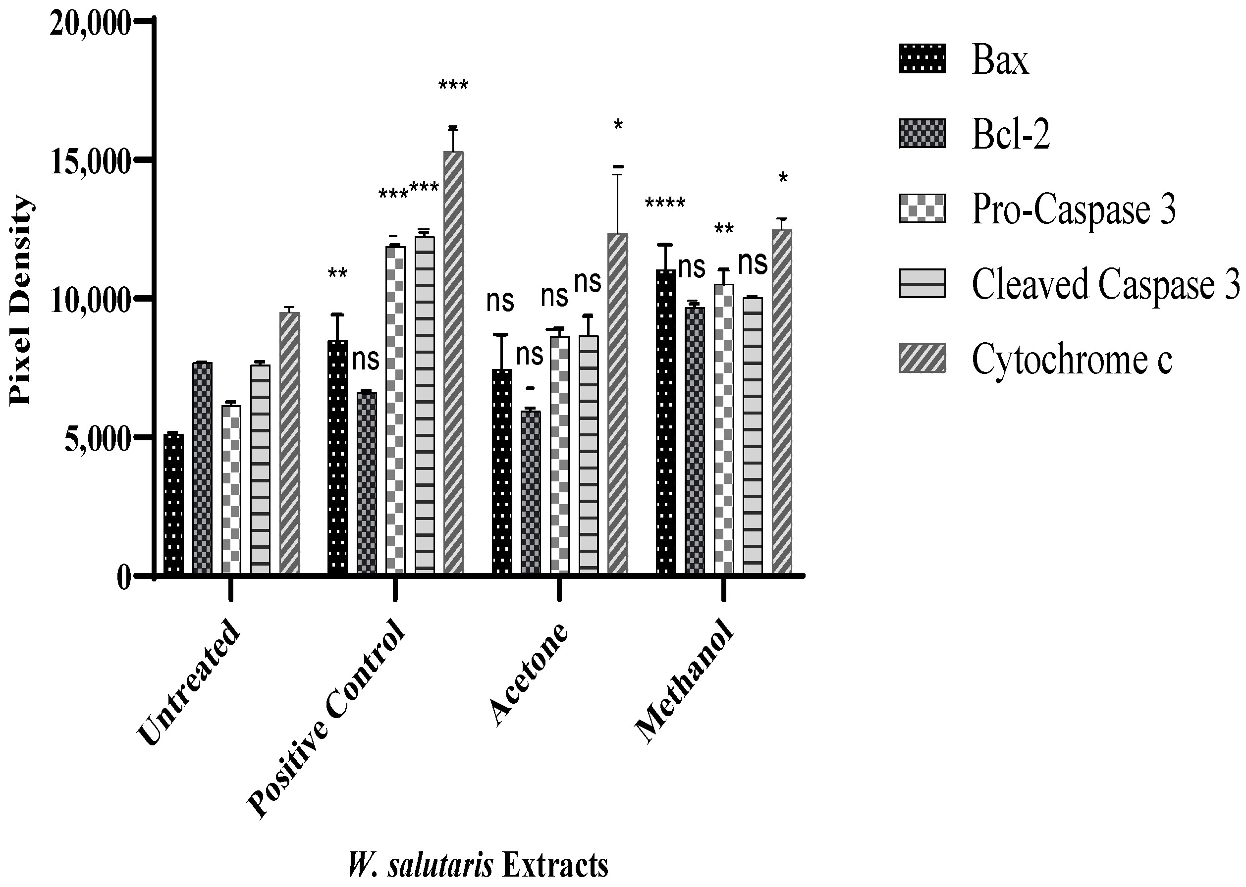 Ijms 26 08065 g007 Ijms 26 08065 g007