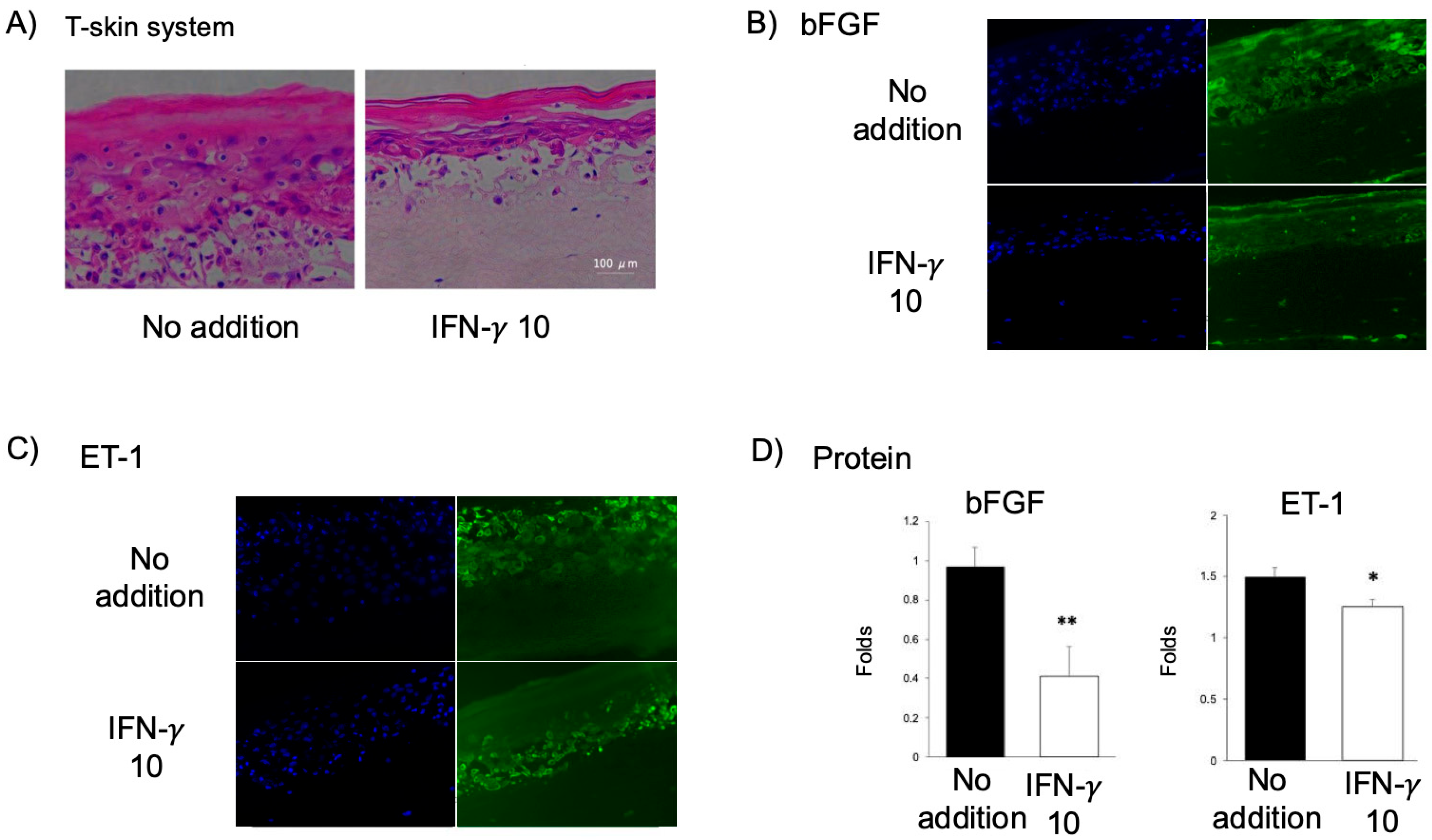Ijms 26 08069 g003 Ijms 26 08069 g003