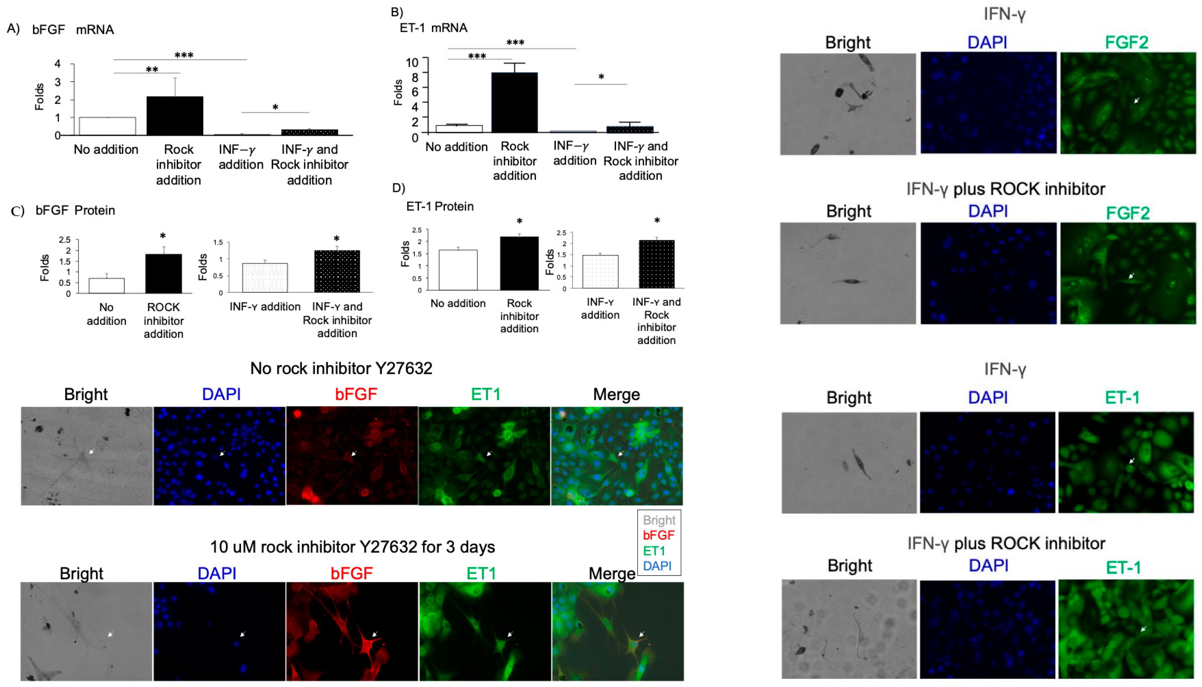 Ijms 26 08069 g005 Ijms 26 08069 g005