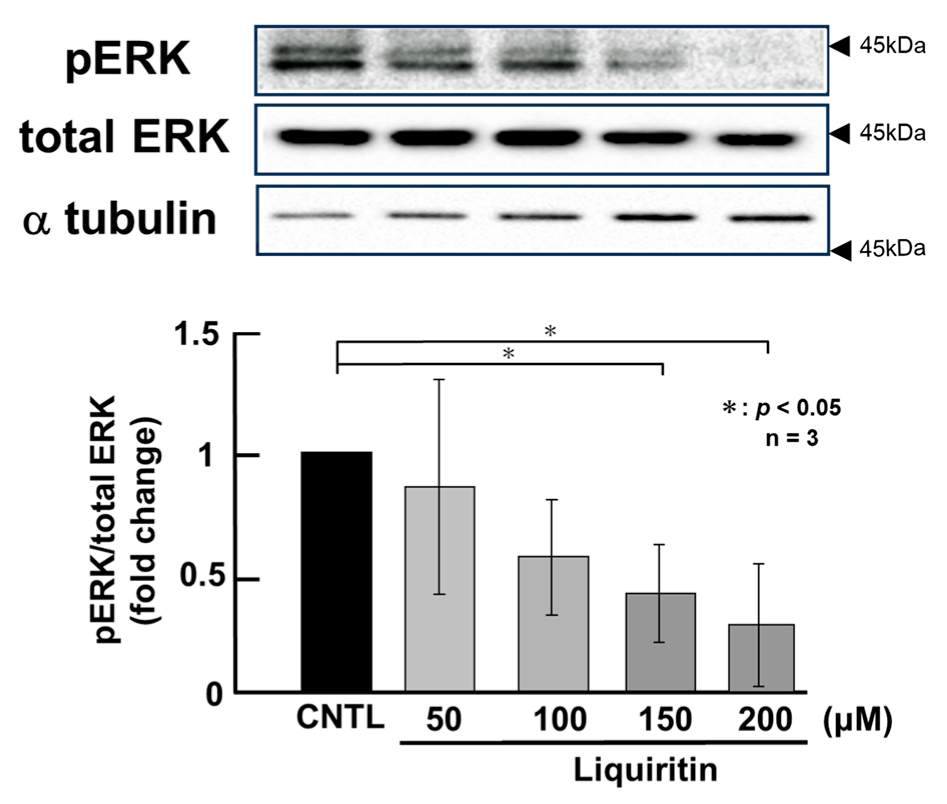 Ijms 26 08076 g004 Ijms 26 08076 g004