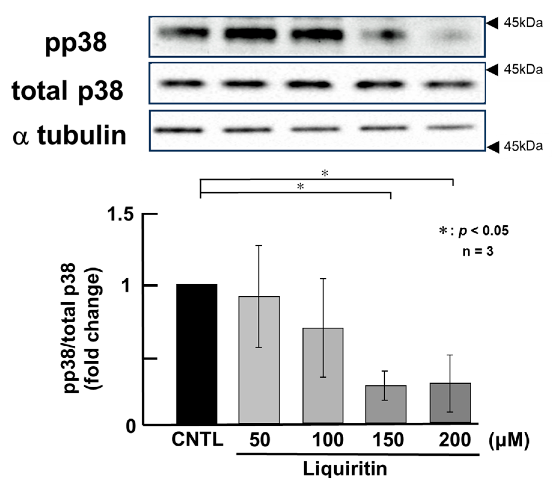 Ijms 26 08076 g005 Ijms 26 08076 g005