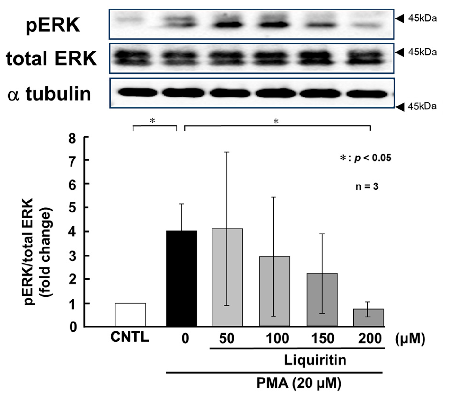 Ijms 26 08076 g008 Ijms 26 08076 g008