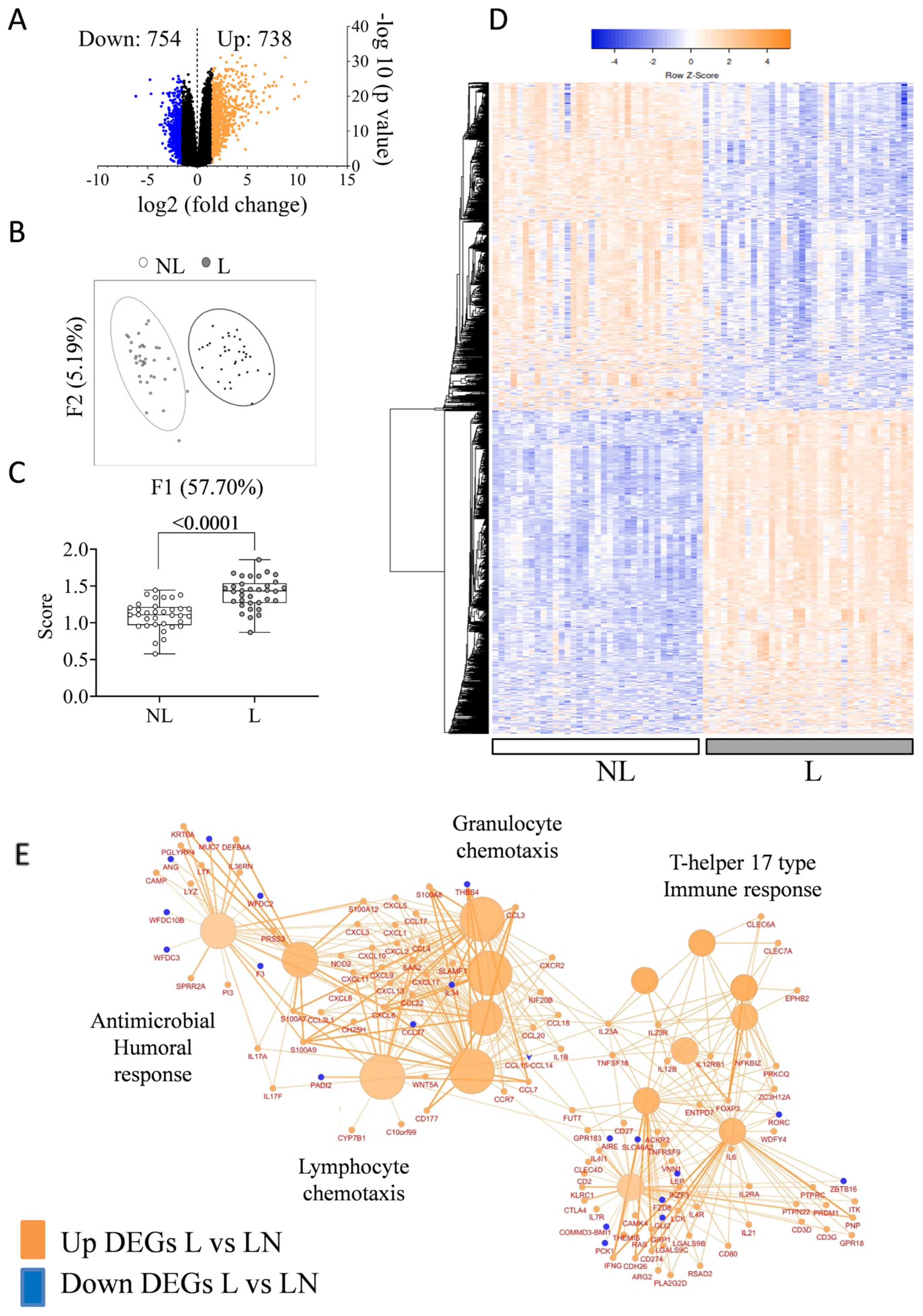 Ijms 26 08118 g001 Ijms 26 08118 g001