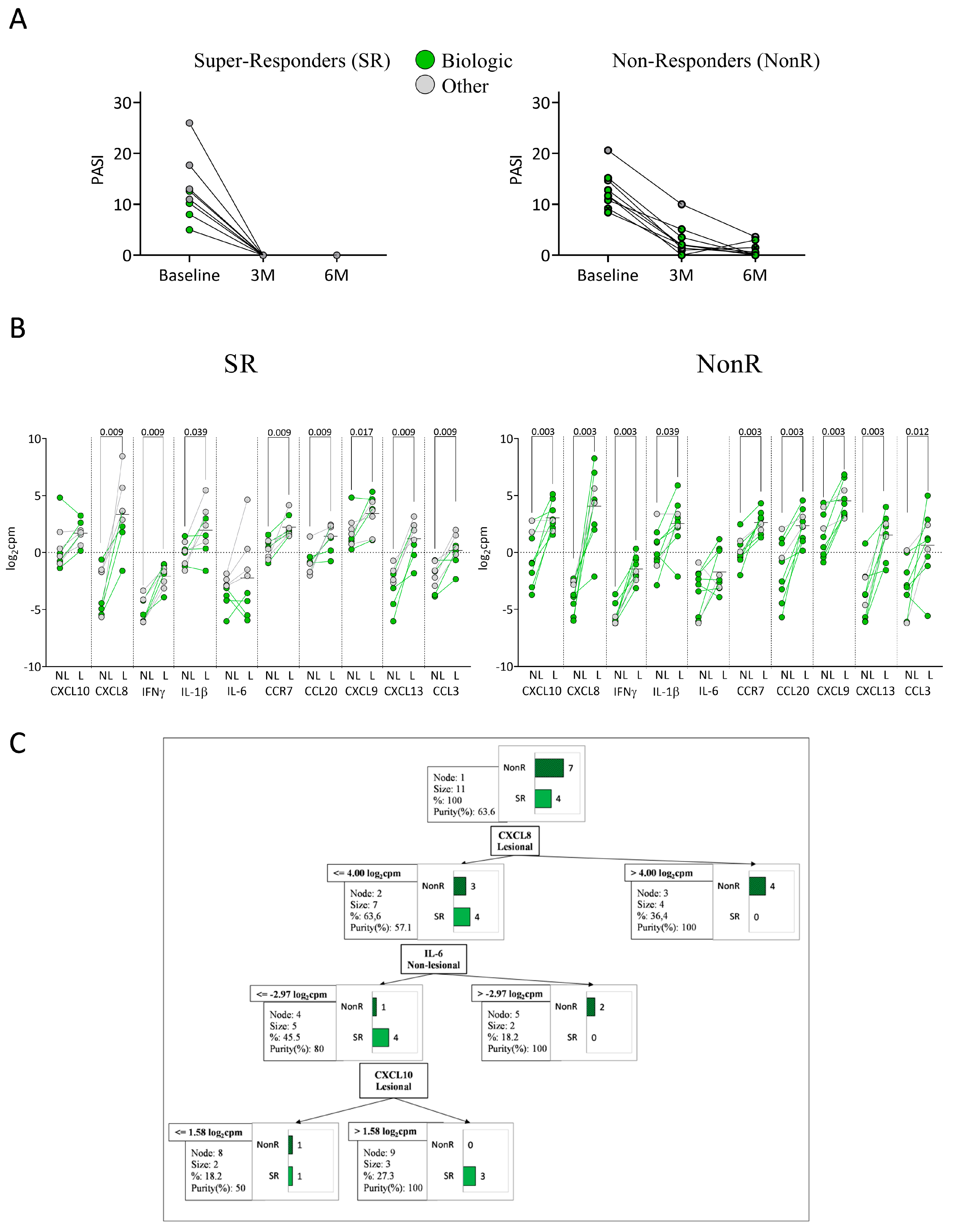 Ijms 26 08118 g005 Ijms 26 08118 g005