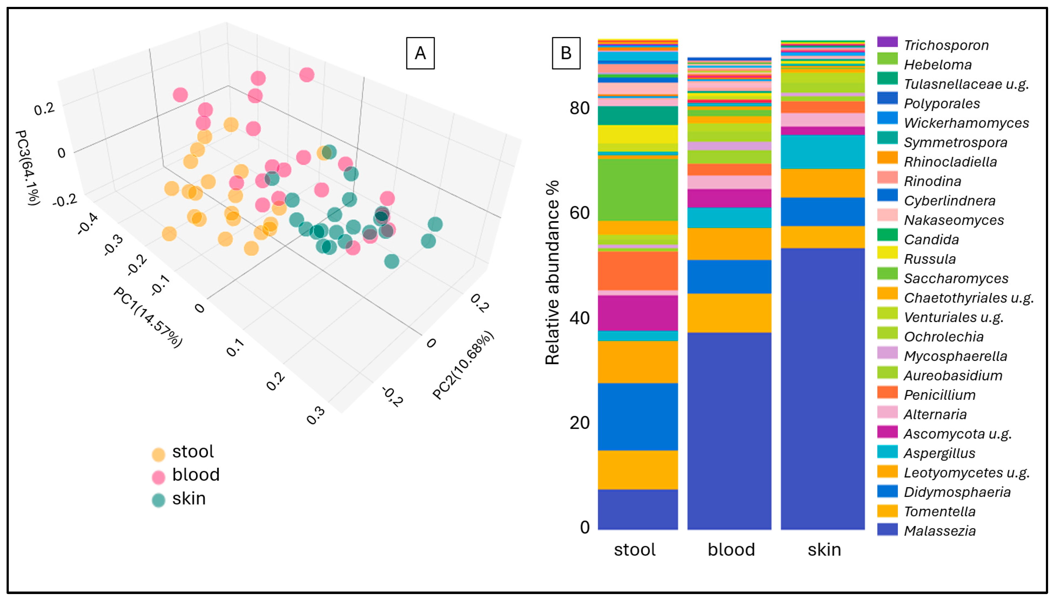 Ijms 26 08127 g001 Ijms 26 08127 g001