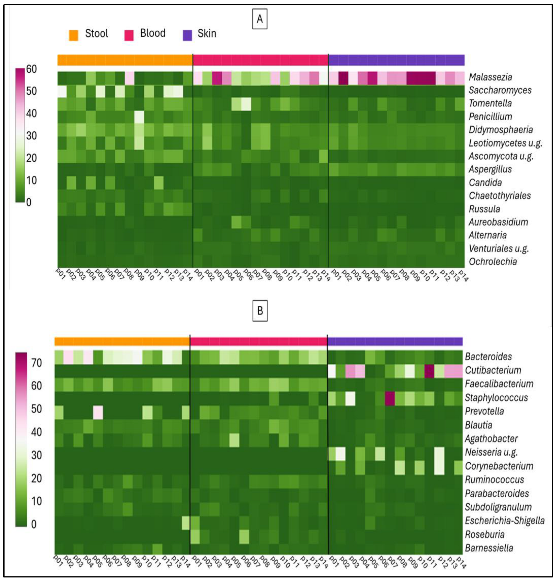 Ijms 26 08127 g003 Ijms 26 08127 g003