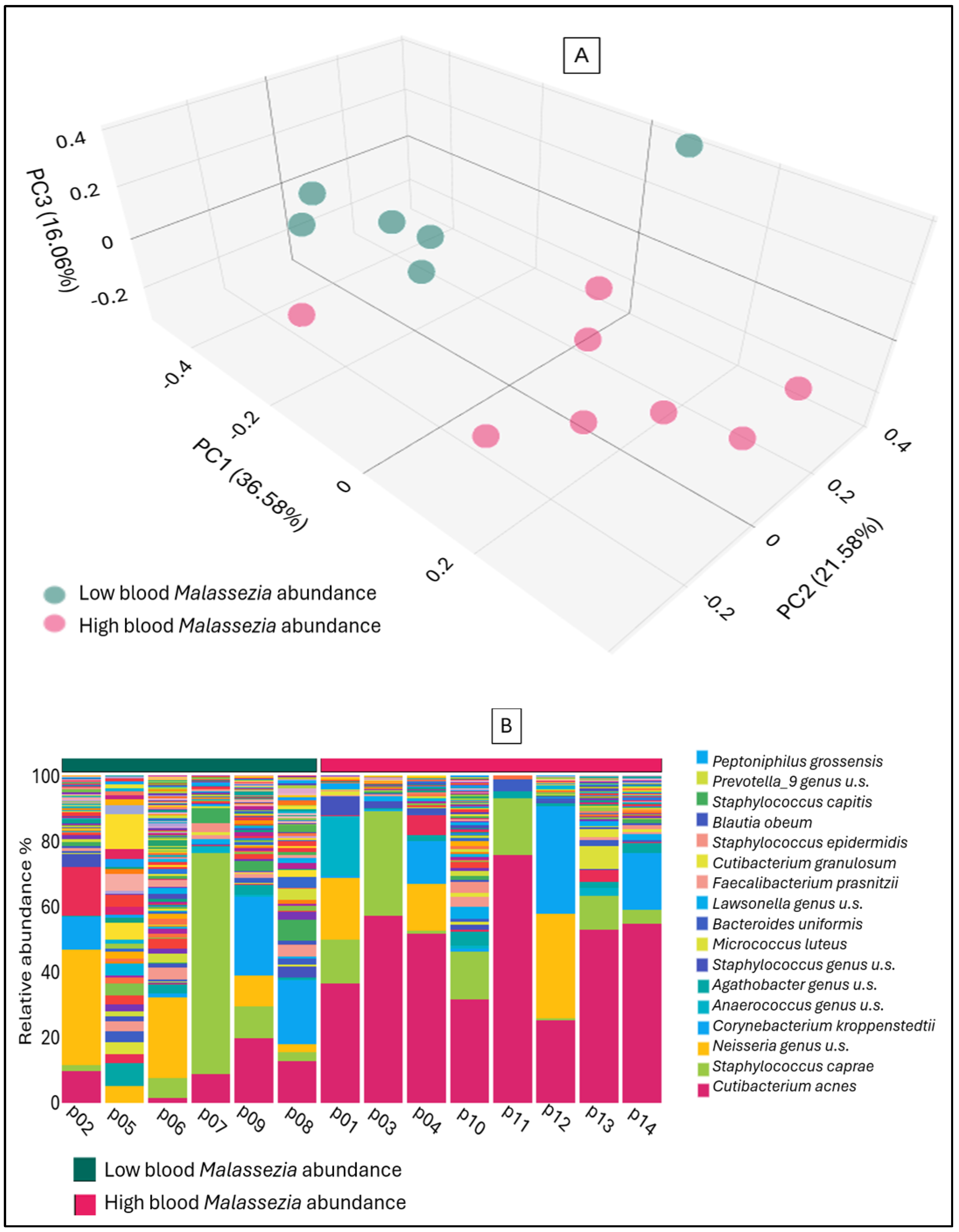 Ijms 26 08127 g004 Ijms 26 08127 g004