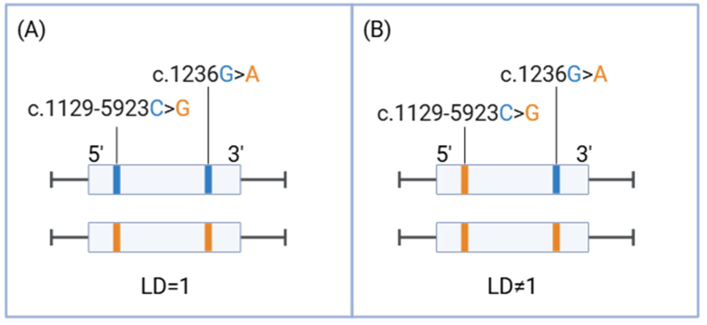 Ijms 26 08136 g001 Ijms 26 08136 g001