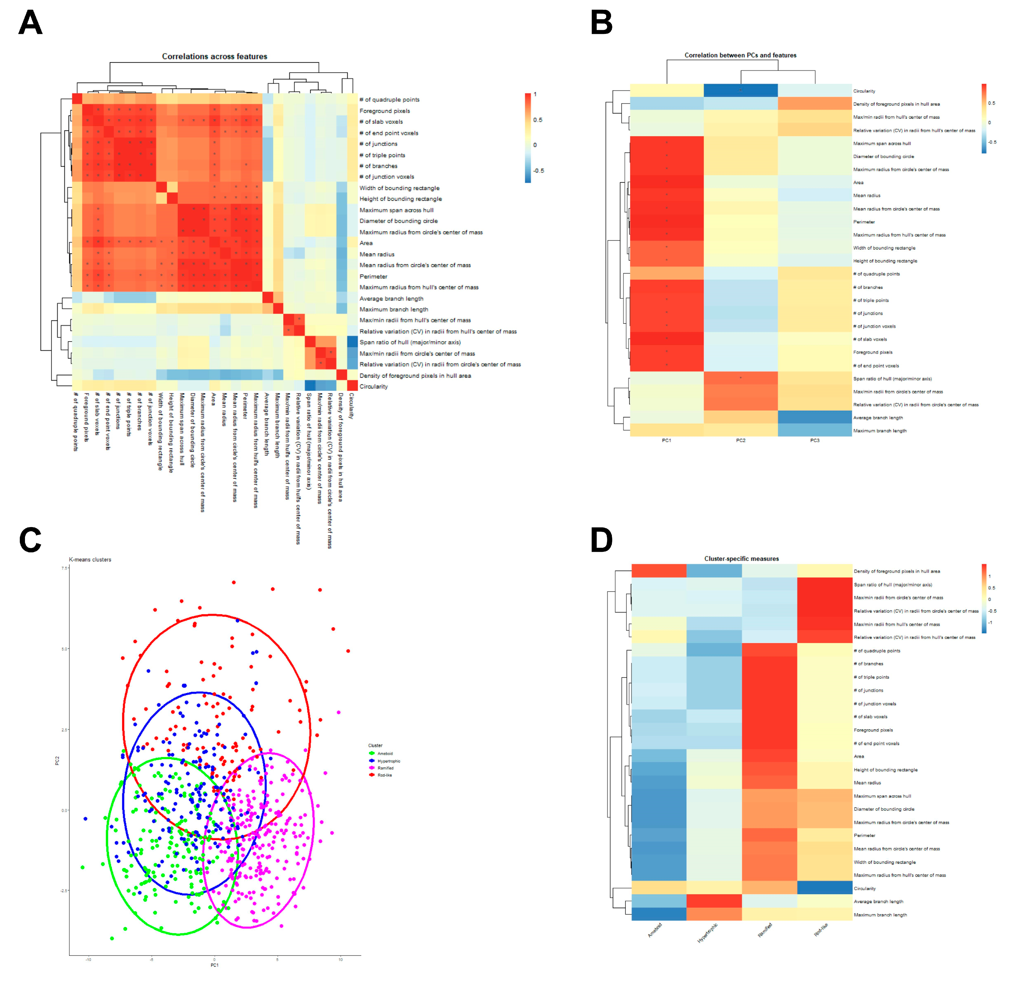 Ijms 26 08149 g001 Ijms 26 08149 g001