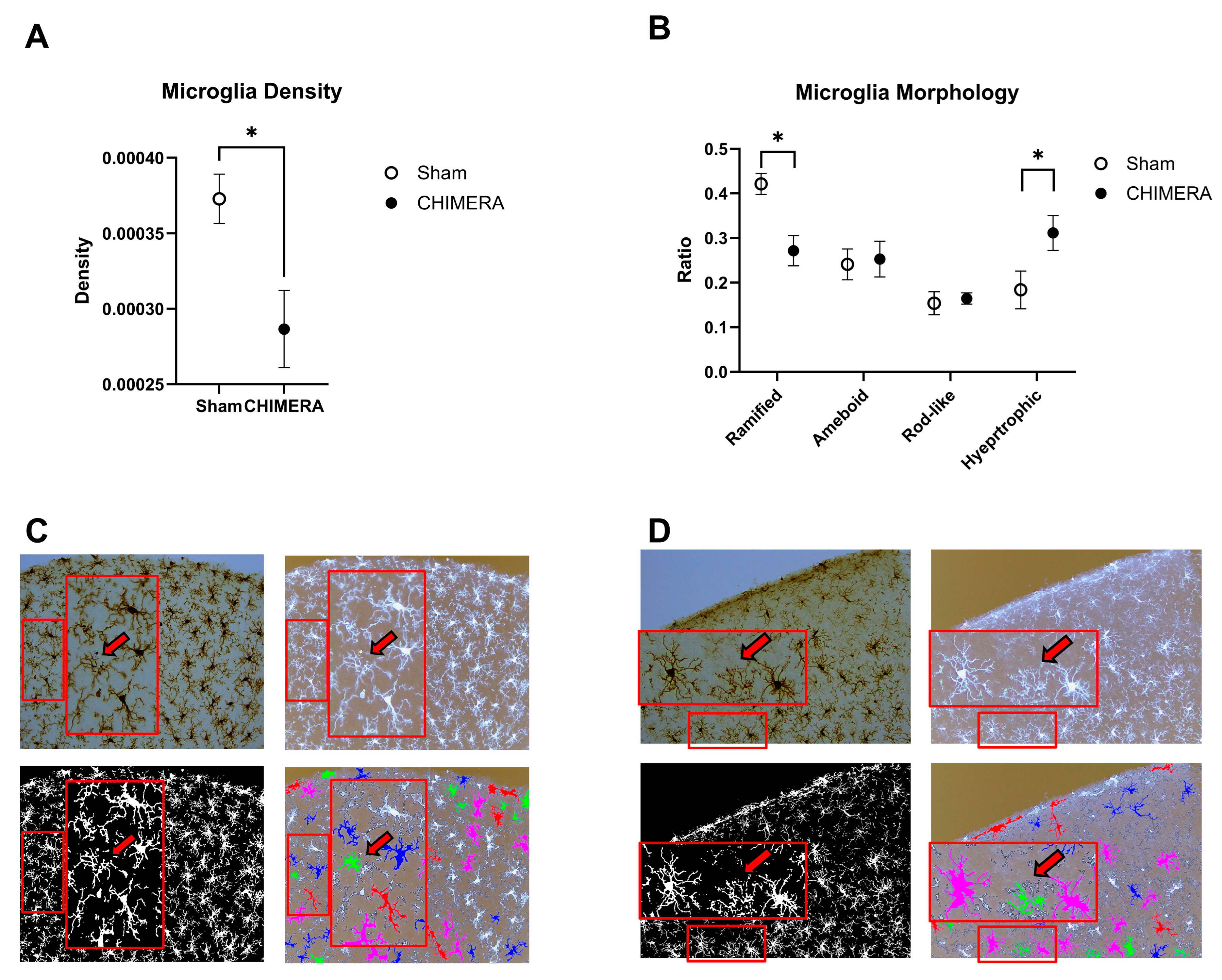 Ijms 26 08149 g002 Ijms 26 08149 g002