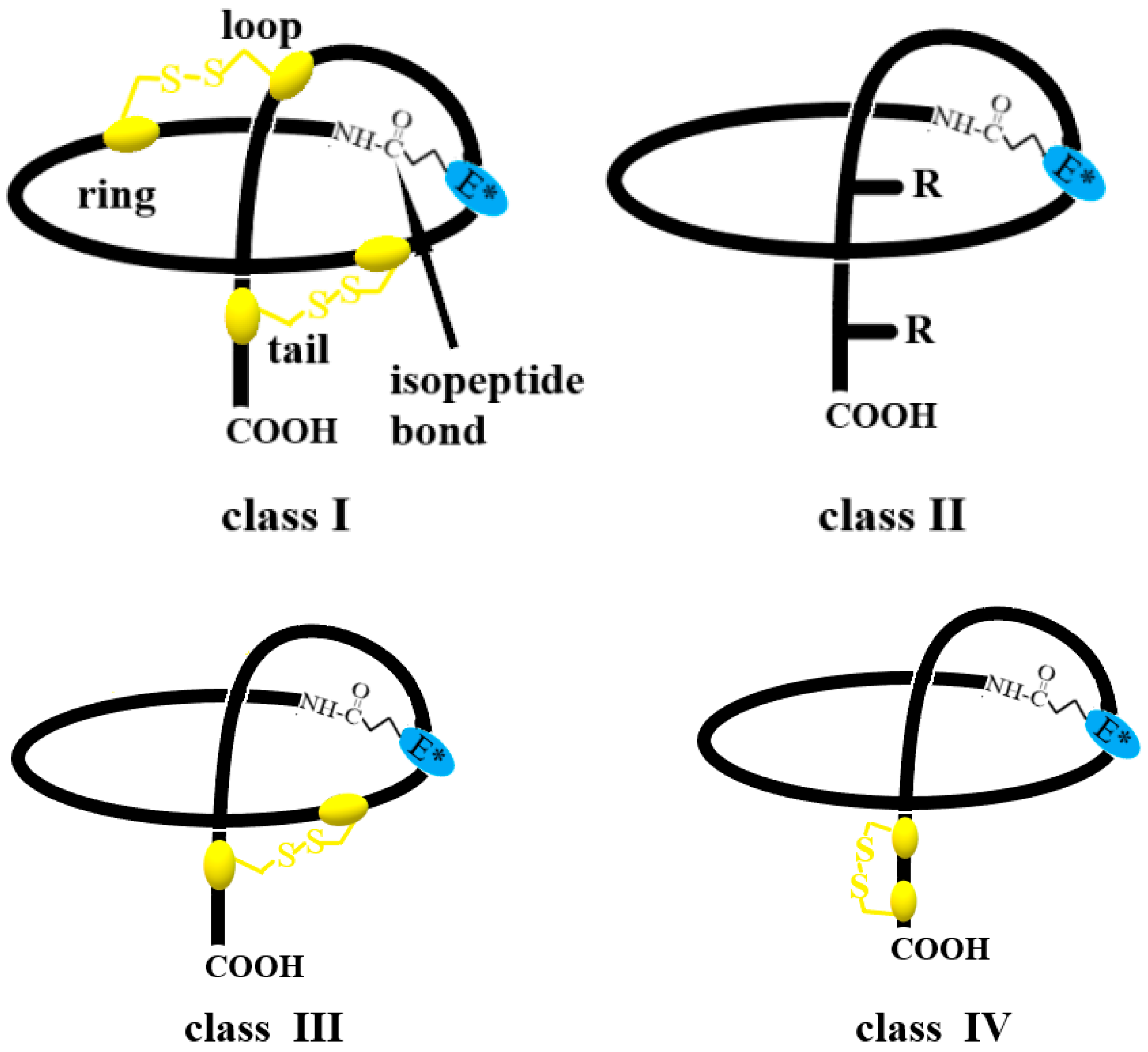 Ijms 26 08184 g001 Ijms 26 08184 g001