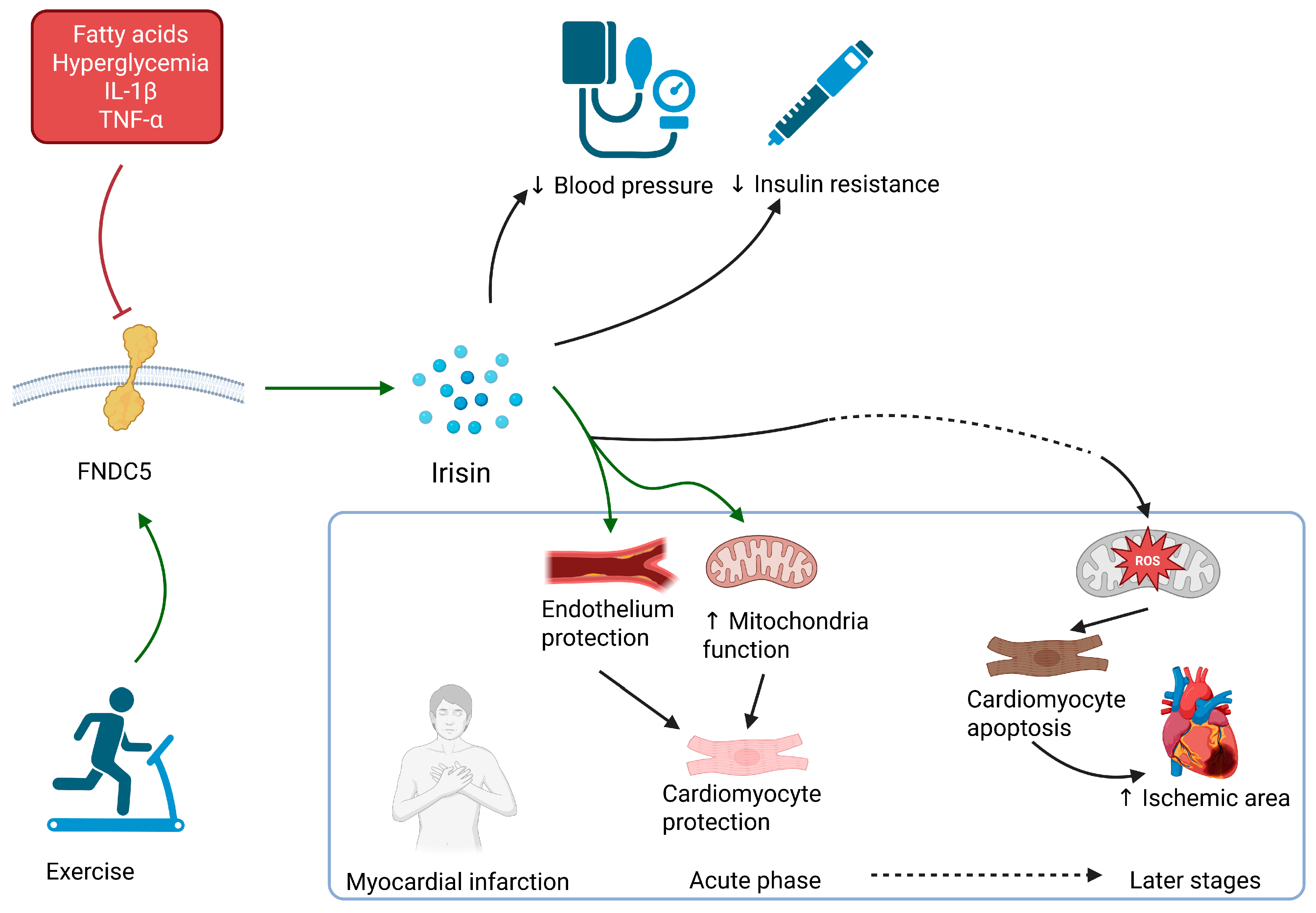 Ijms 26 08194 g002 Ijms 26 08194 g002