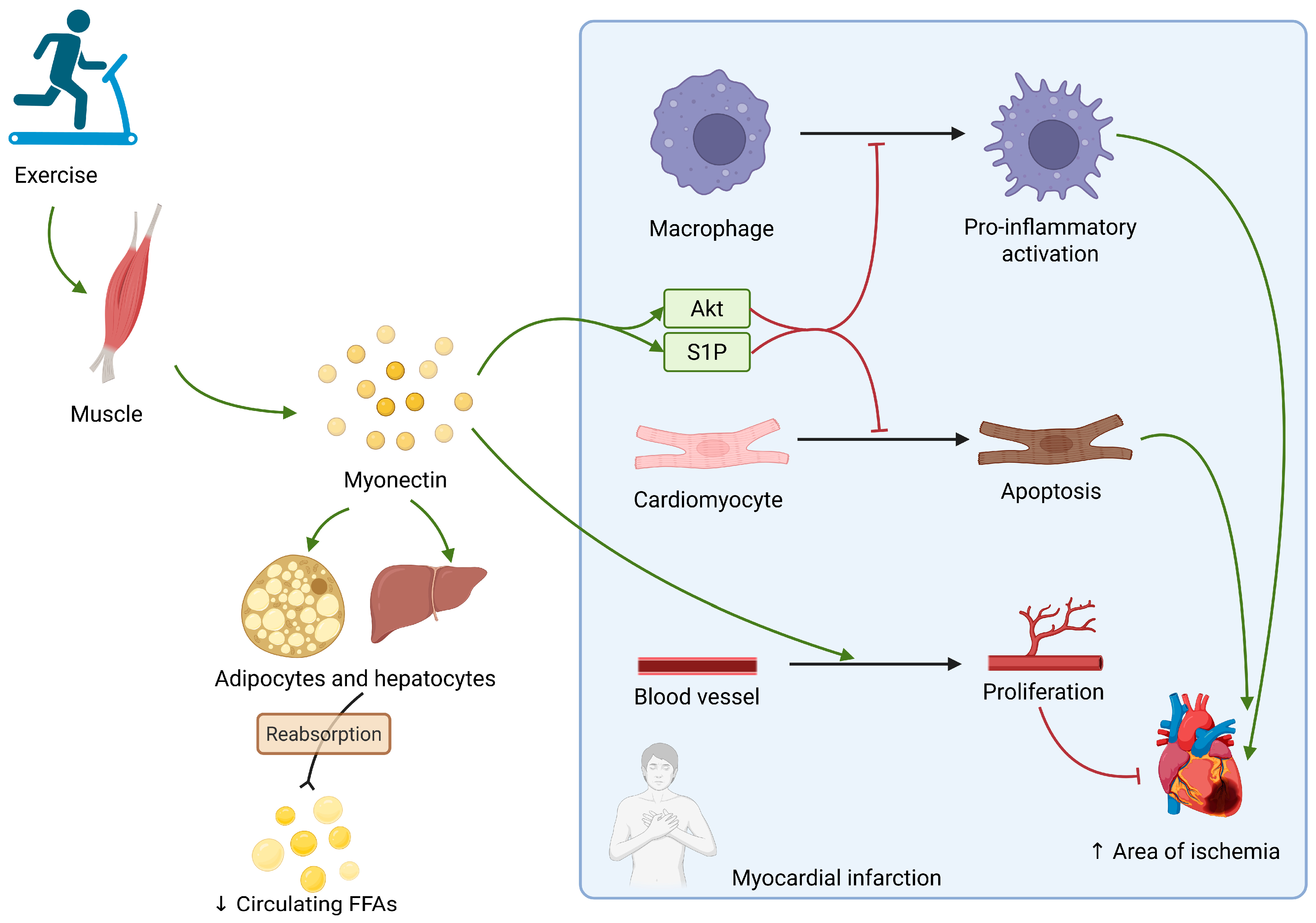 Ijms 26 08194 g004 Ijms 26 08194 g004