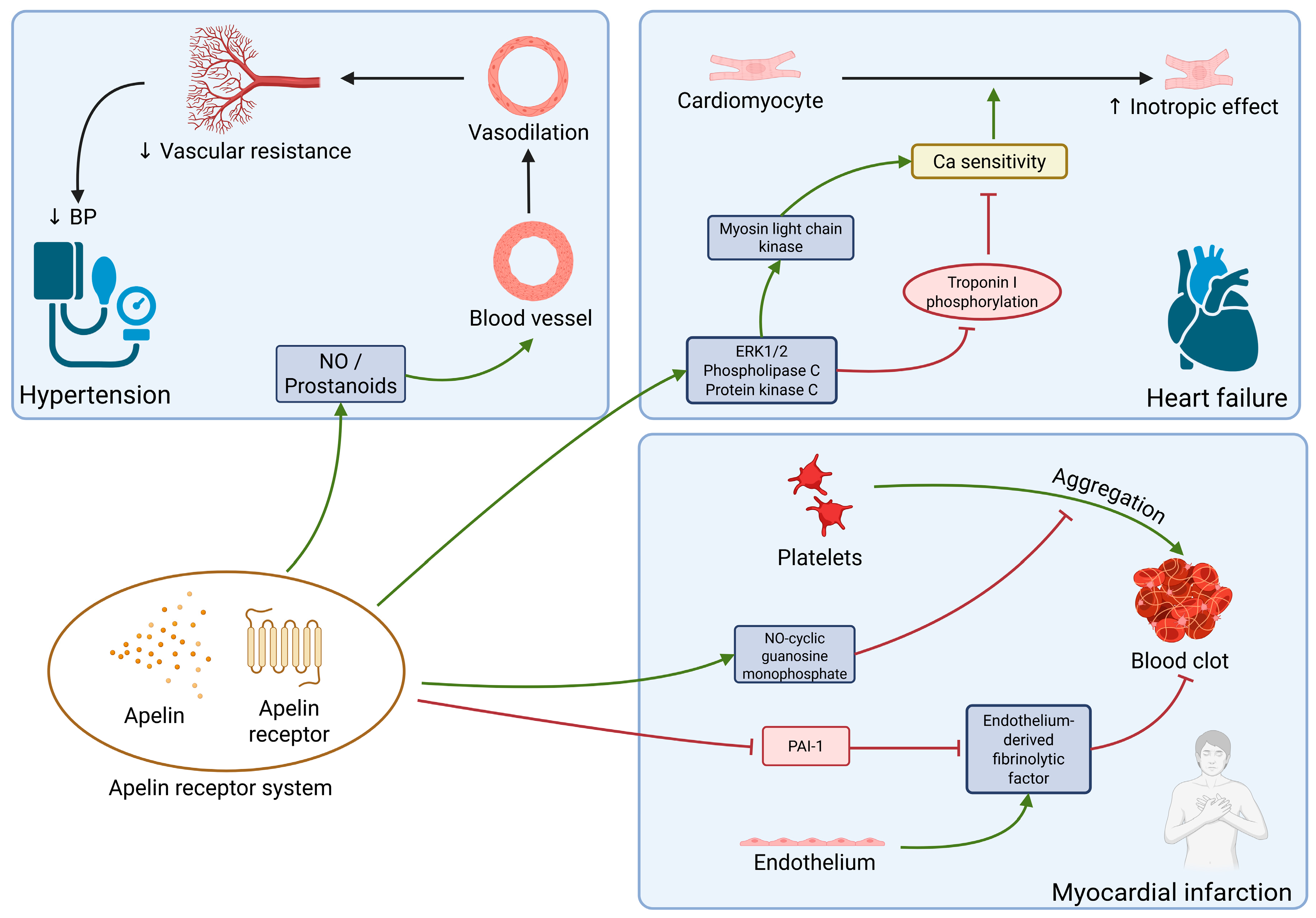 Ijms 26 08194 g005 Ijms 26 08194 g005