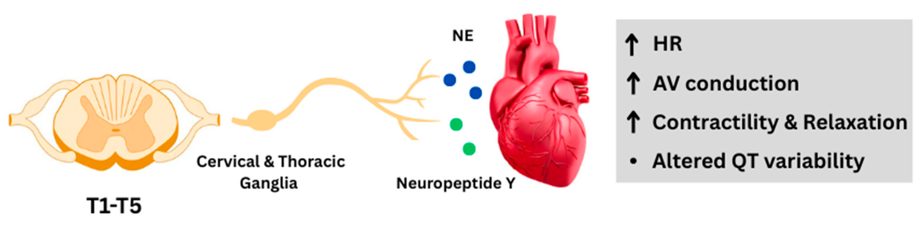 Ijms 26 08217 g002 Ijms 26 08217 g002