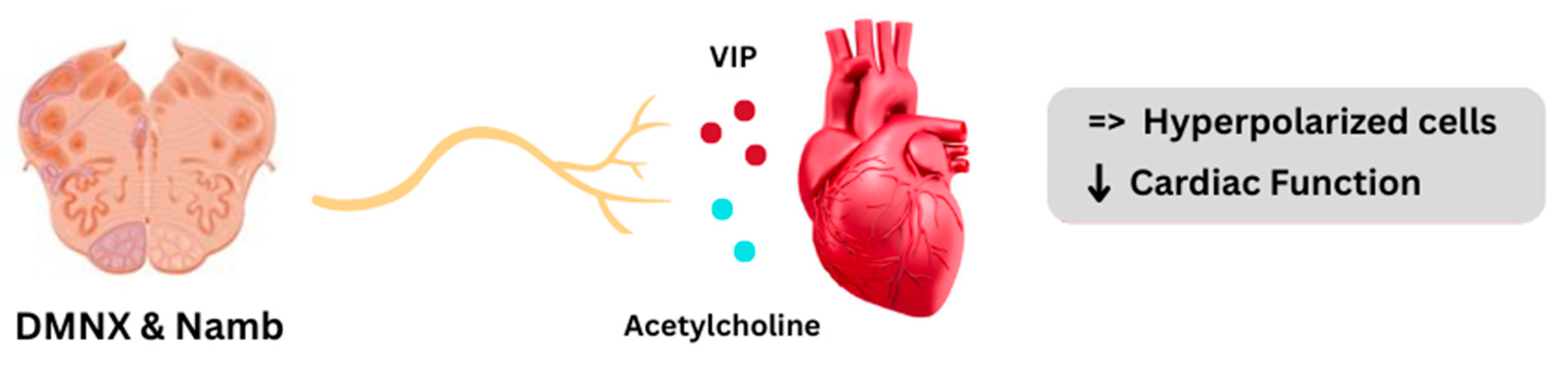 Ijms 26 08217 g003 Ijms 26 08217 g003