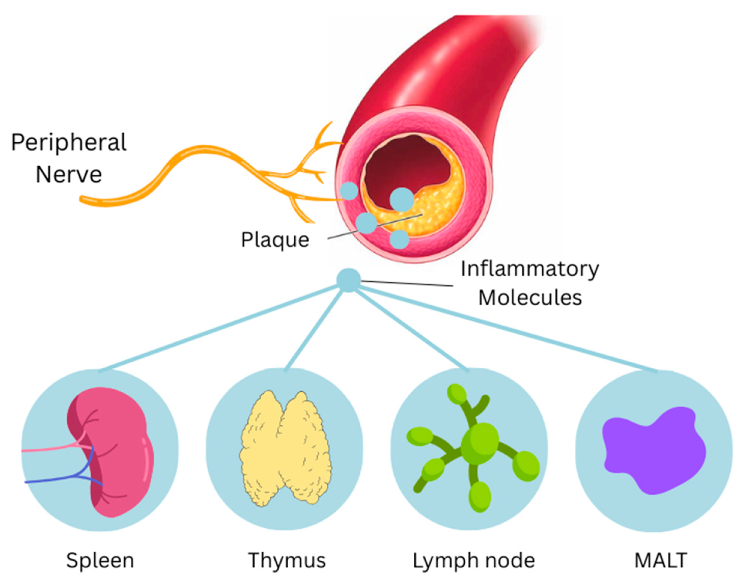 Ijms 26 08217 g004 Ijms 26 08217 g004