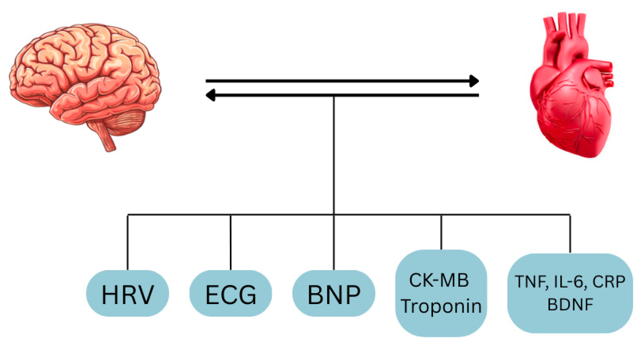Ijms 26 08217 g006 Ijms 26 08217 g006