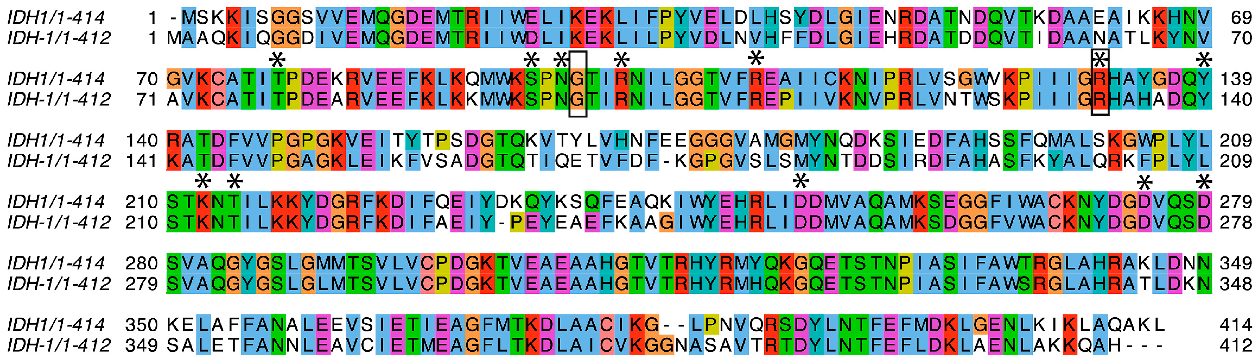 Ijms 26 08238 g002 Ijms 26 08238 g002