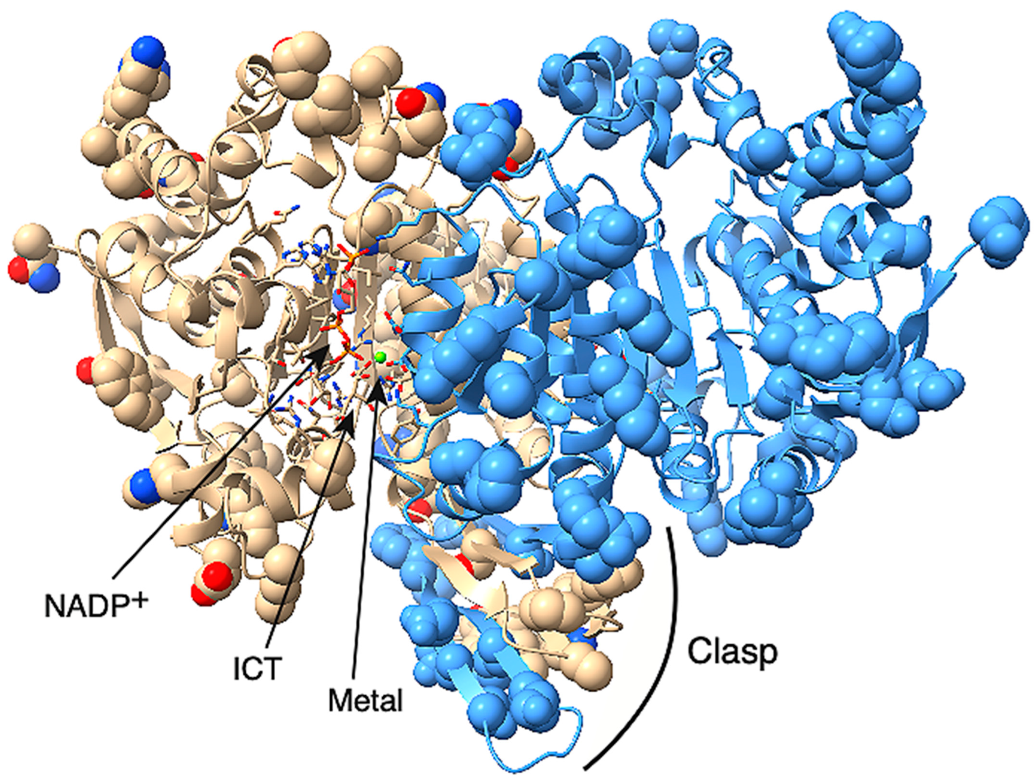 Ijms 26 08238 g003 Ijms 26 08238 g003