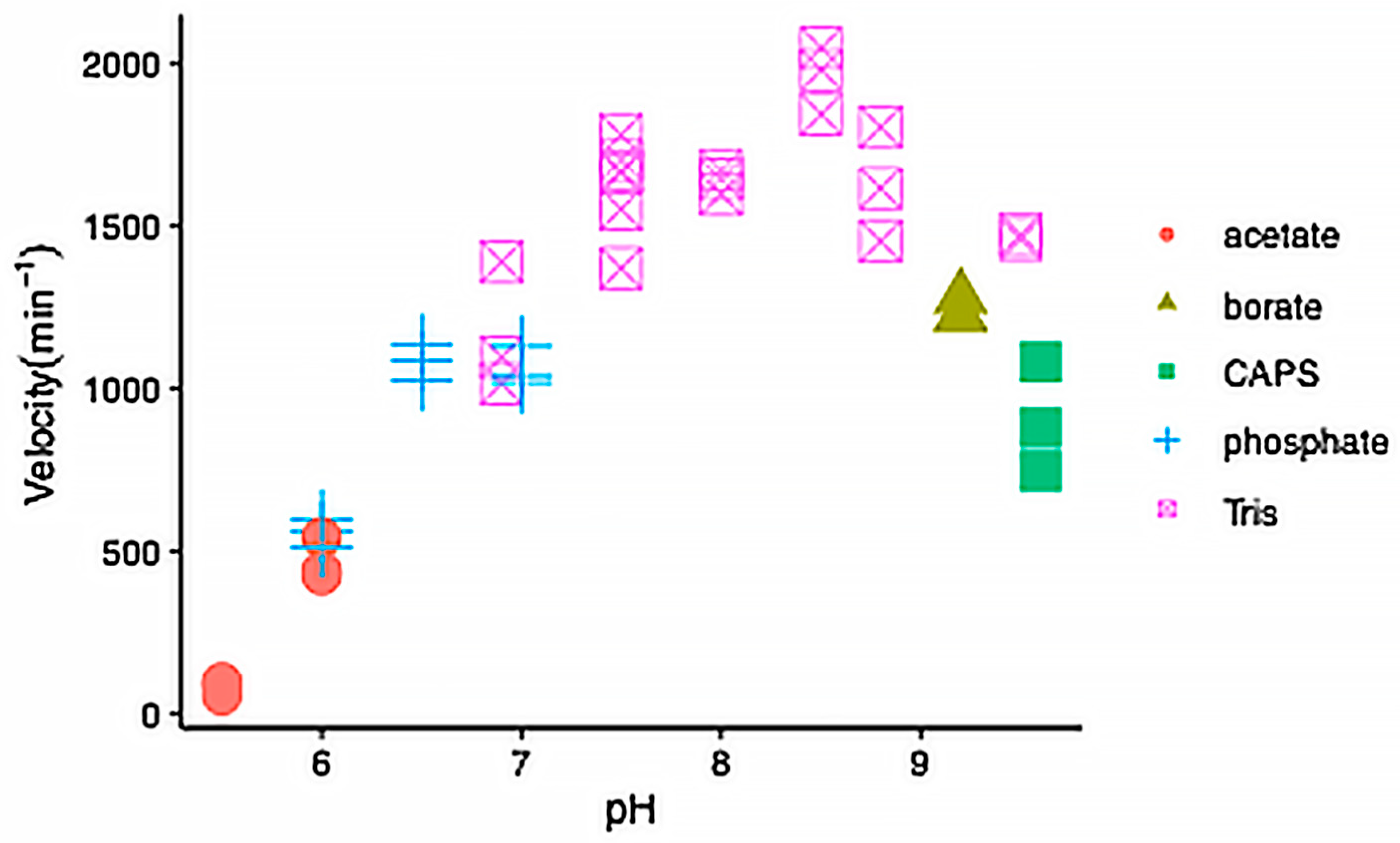 Ijms 26 08238 g004 Ijms 26 08238 g004