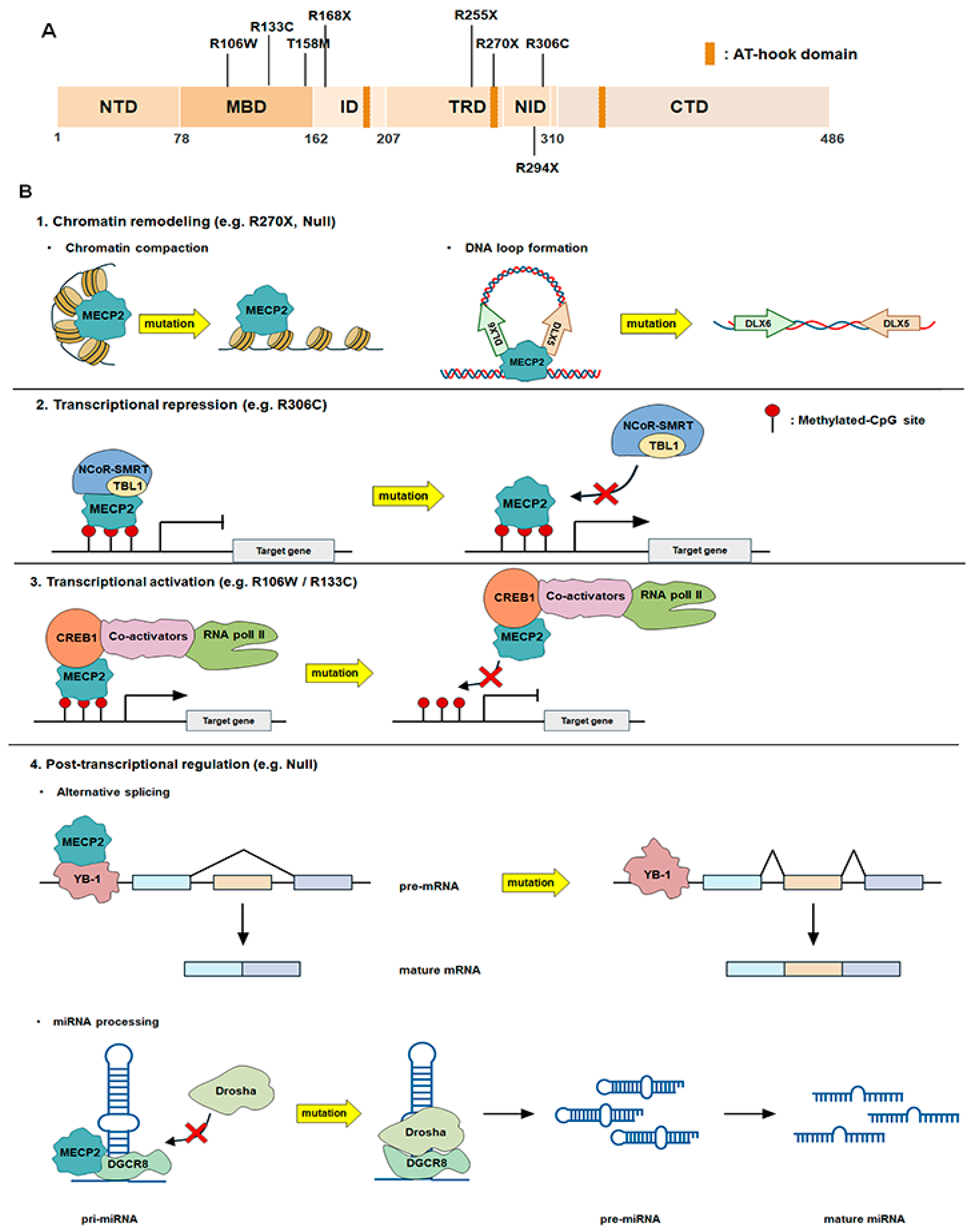 Ijms 26 08277 g002 Ijms 26 08277 g002