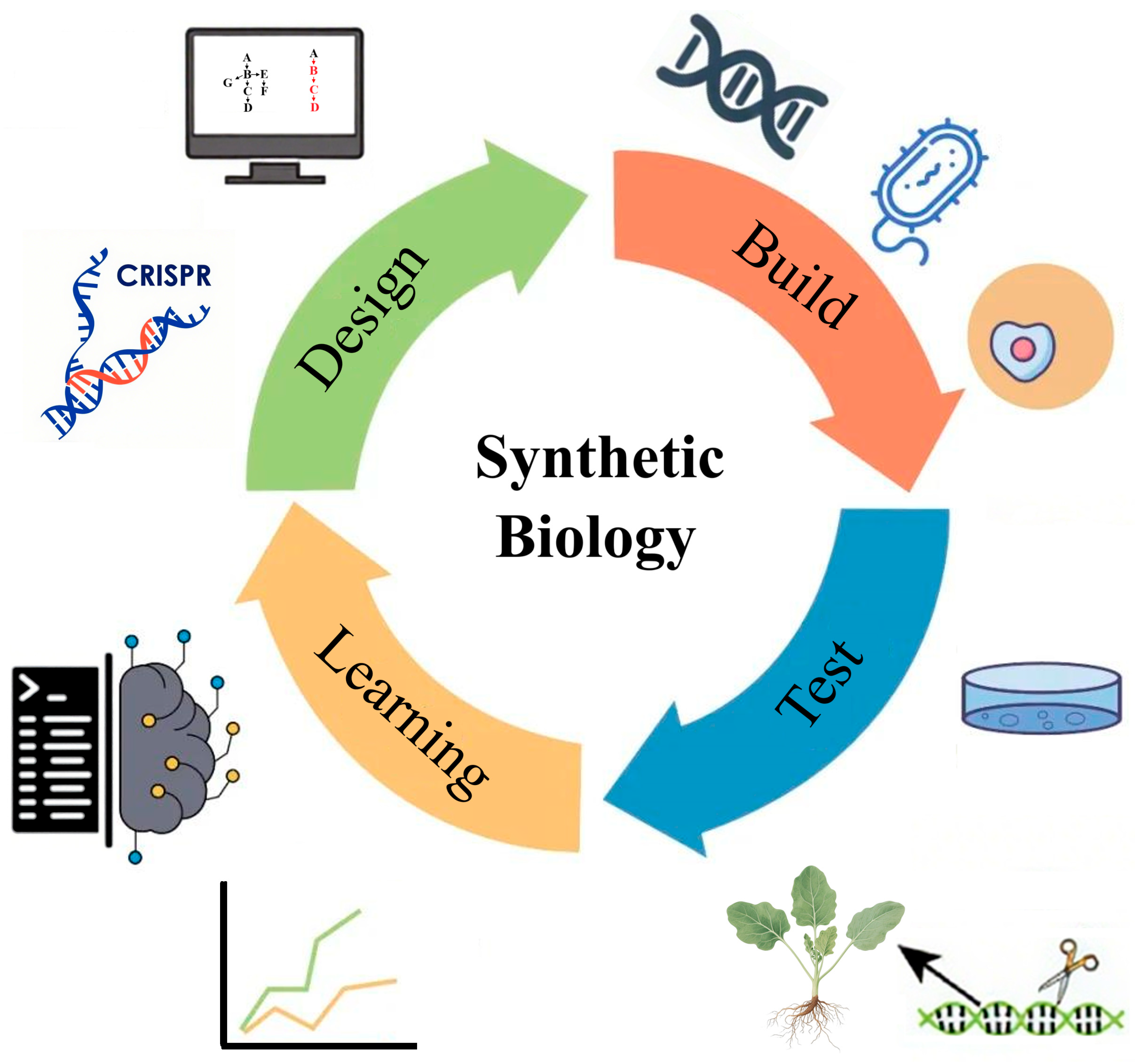 Ijms 26 08292 g005 Ijms 26 08292 g005