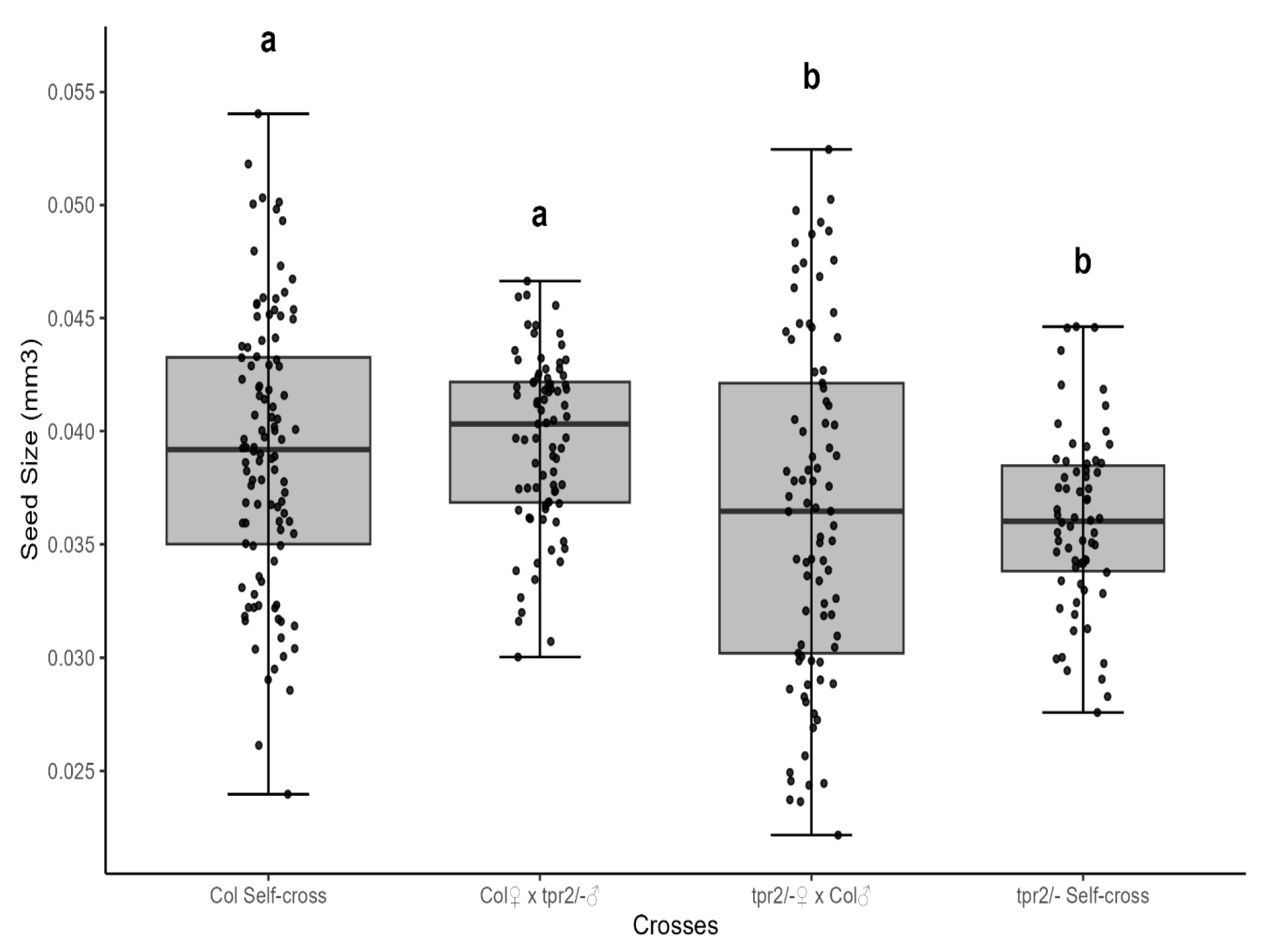 Ijms 26 08310 g003 Ijms 26 08310 g003