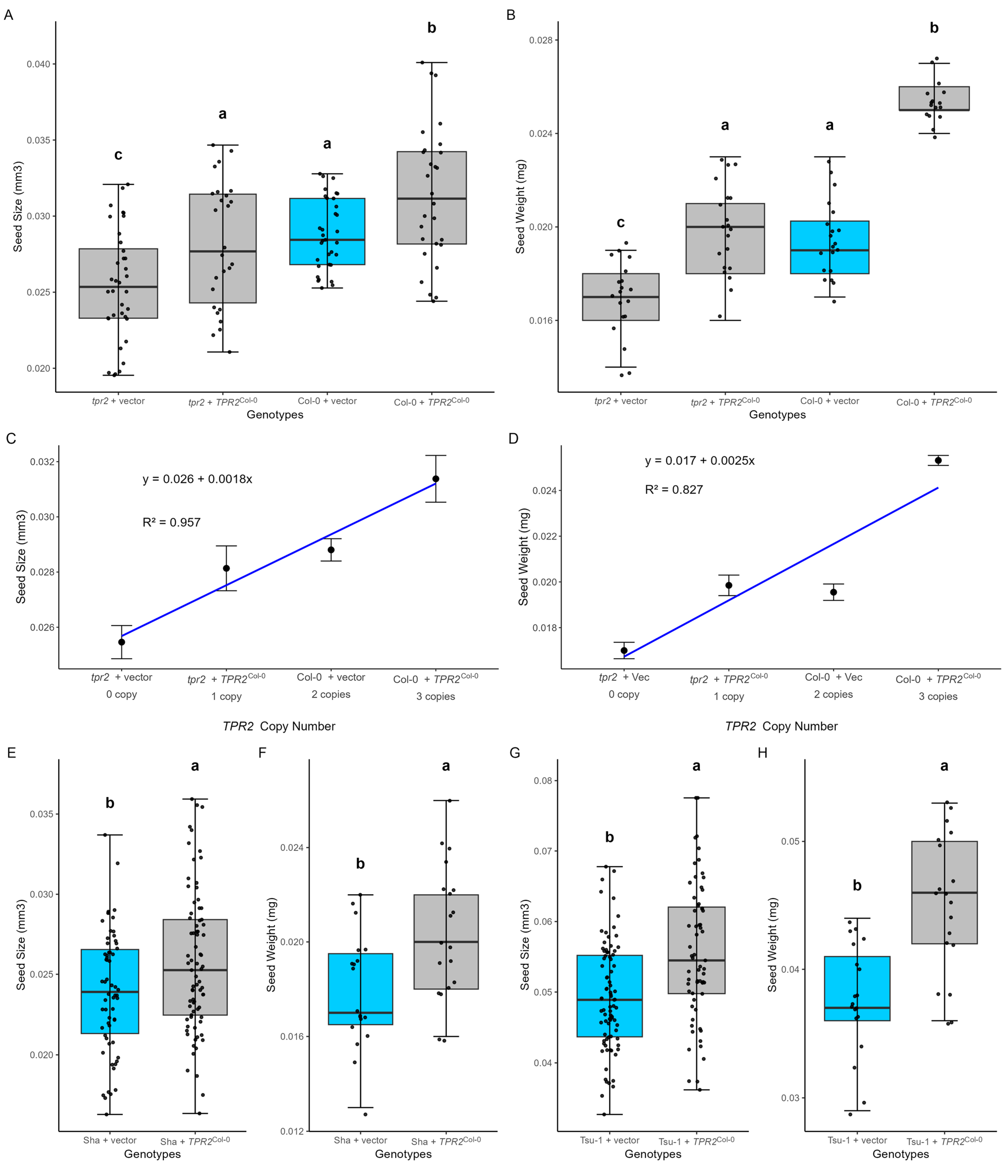 Ijms 26 08310 g004 Ijms 26 08310 g004