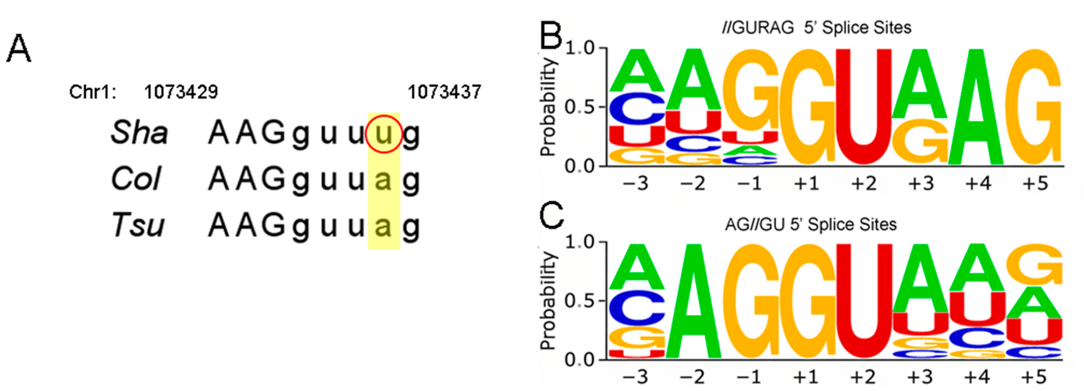 Ijms 26 08310 g005 Ijms 26 08310 g005