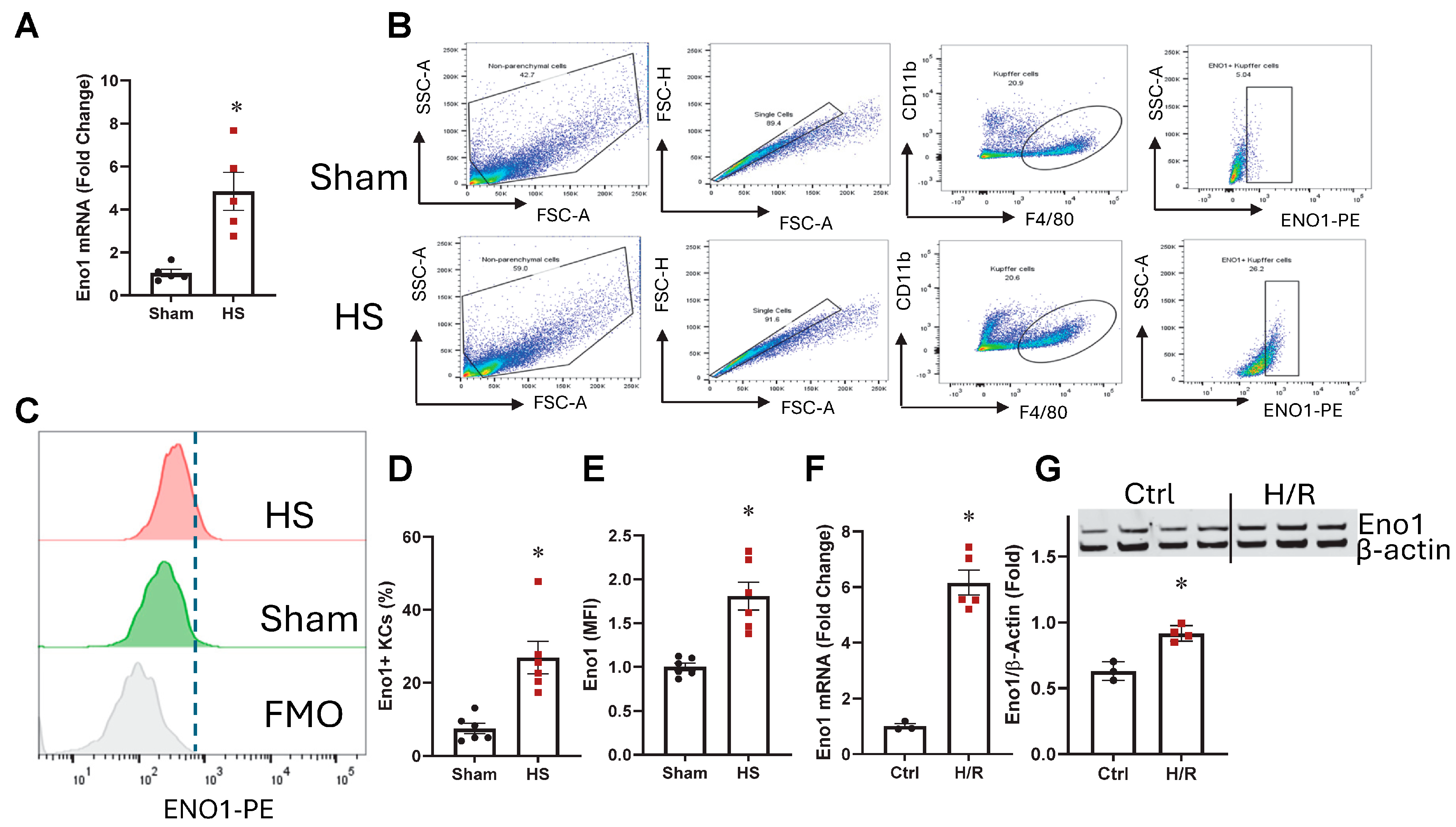 Ijms 26 08340 g001 Ijms 26 08340 g001