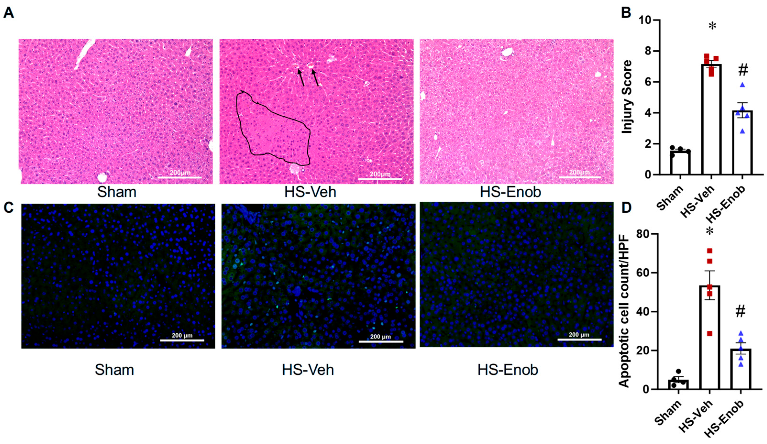 Ijms 26 08340 g004 Ijms 26 08340 g004