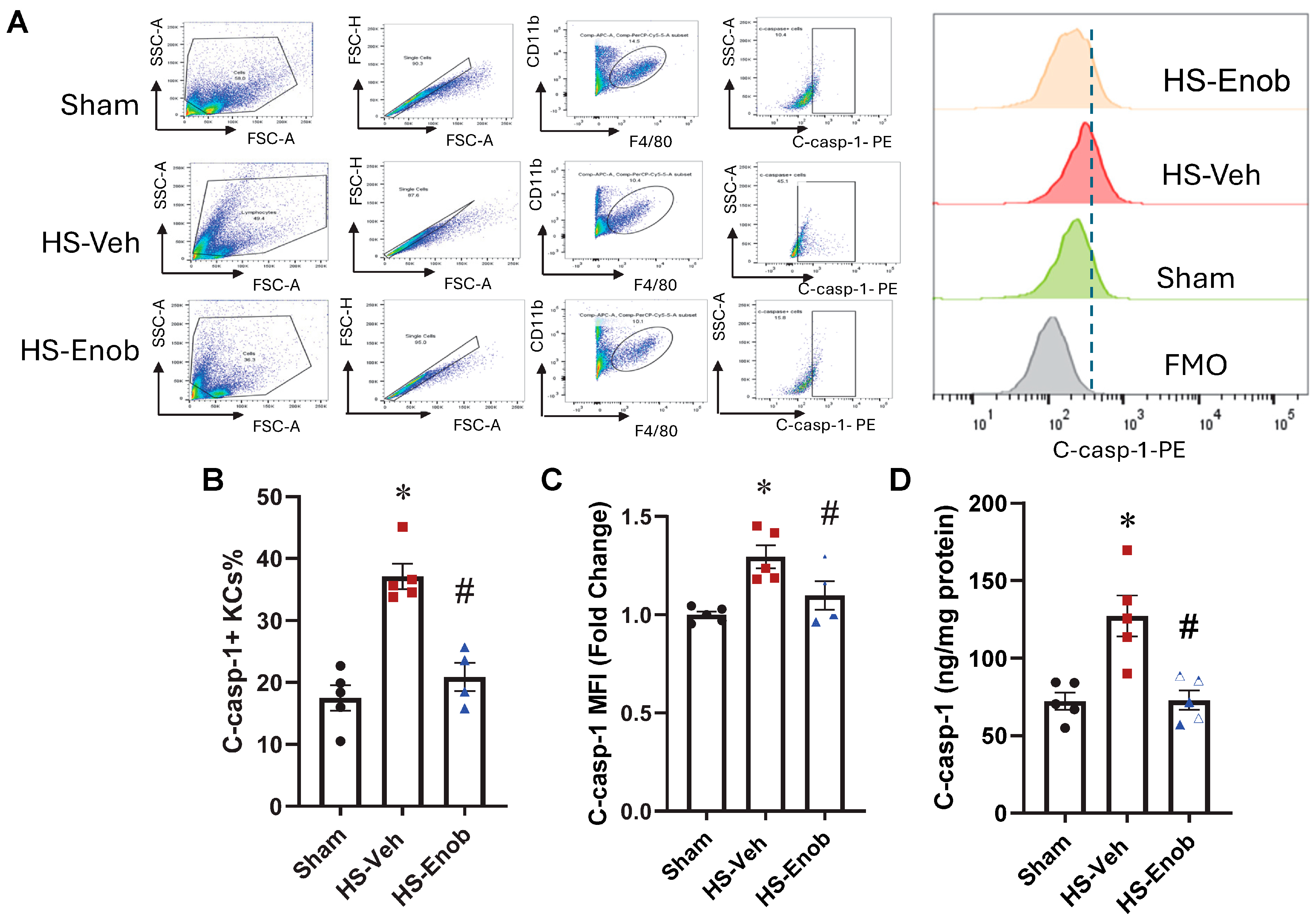 Ijms 26 08340 g005 Ijms 26 08340 g005