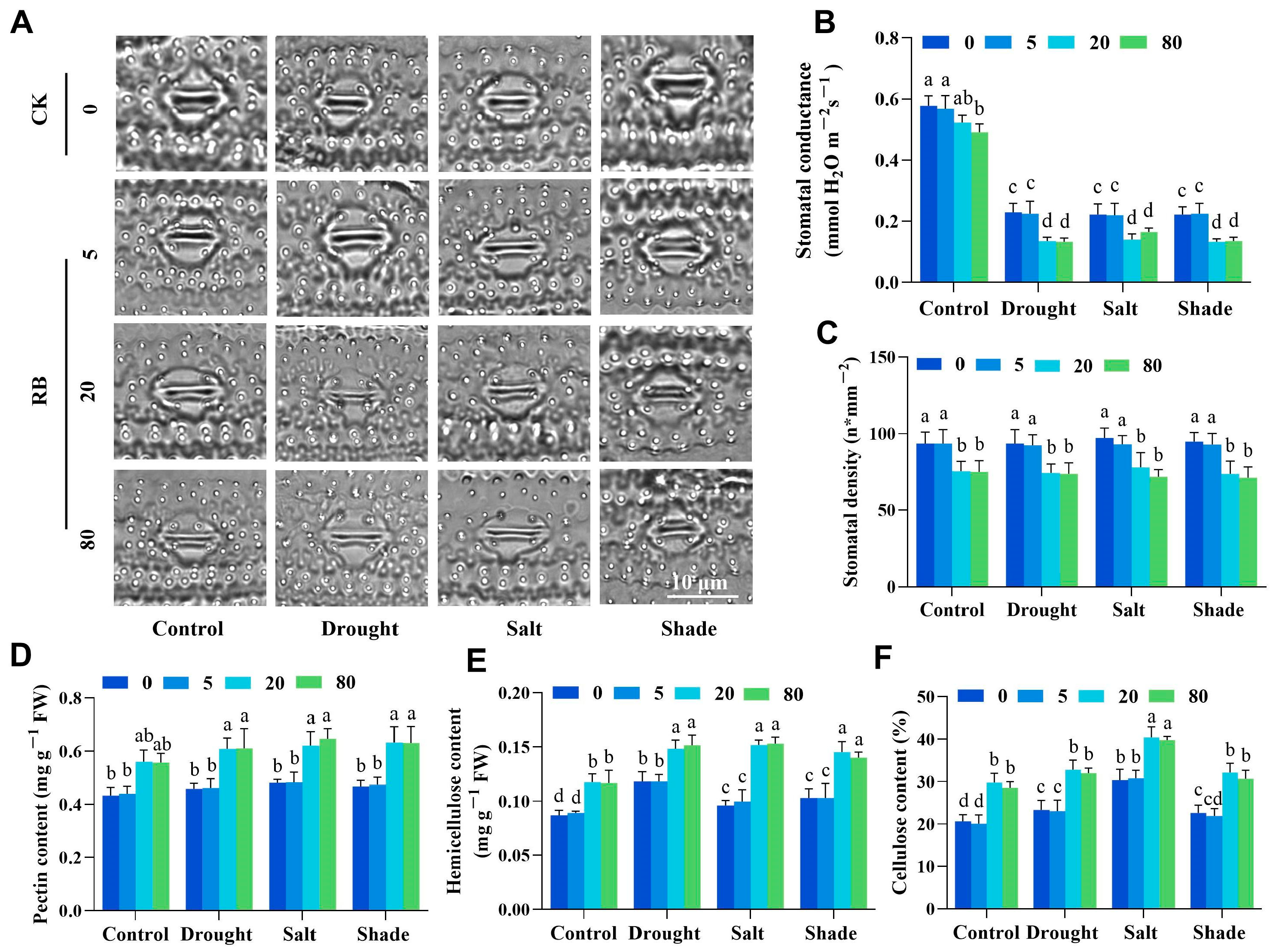 Ijms 26 08382 g006 Ijms 26 08382 g006