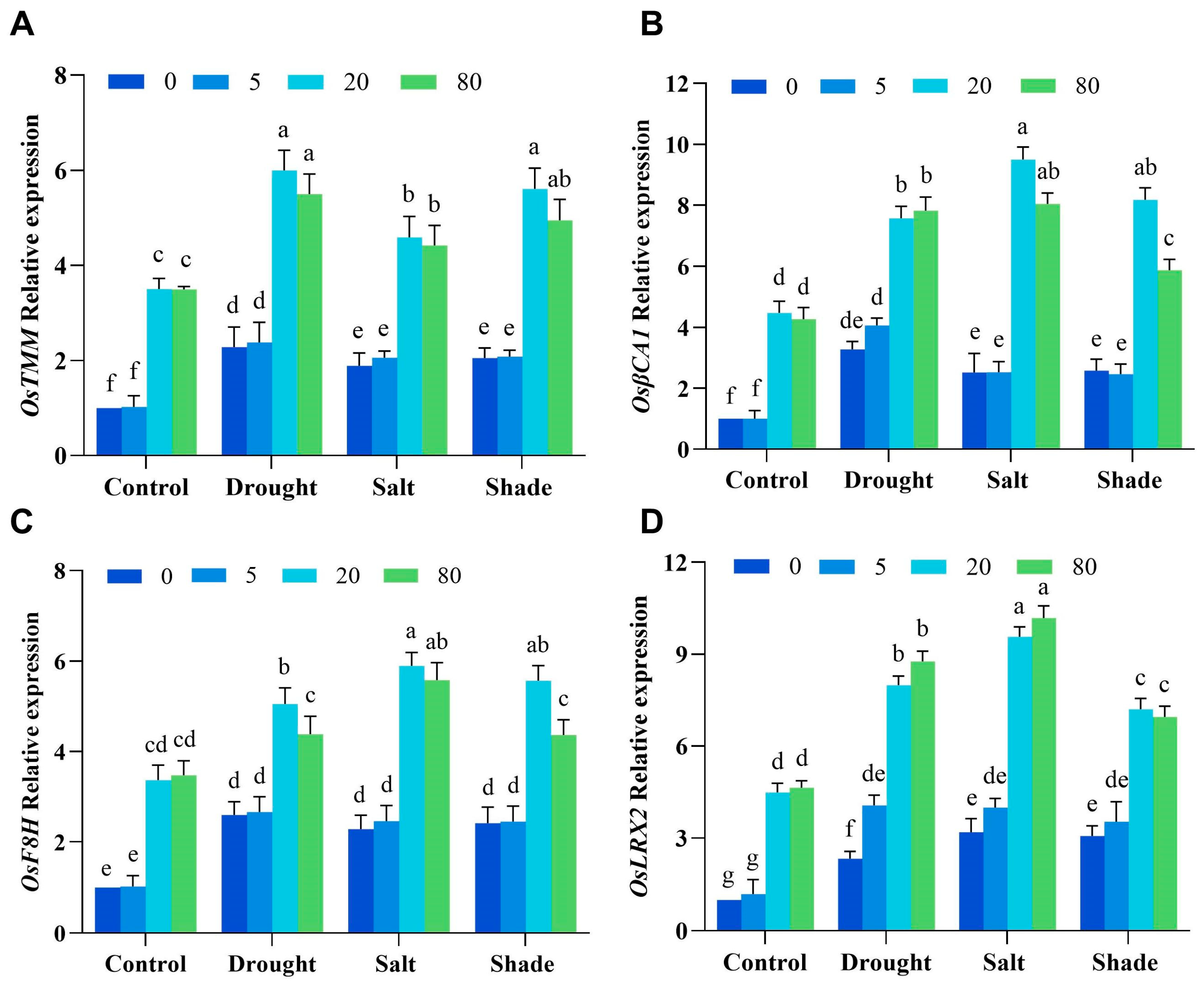 Ijms 26 08382 g007 Ijms 26 08382 g007