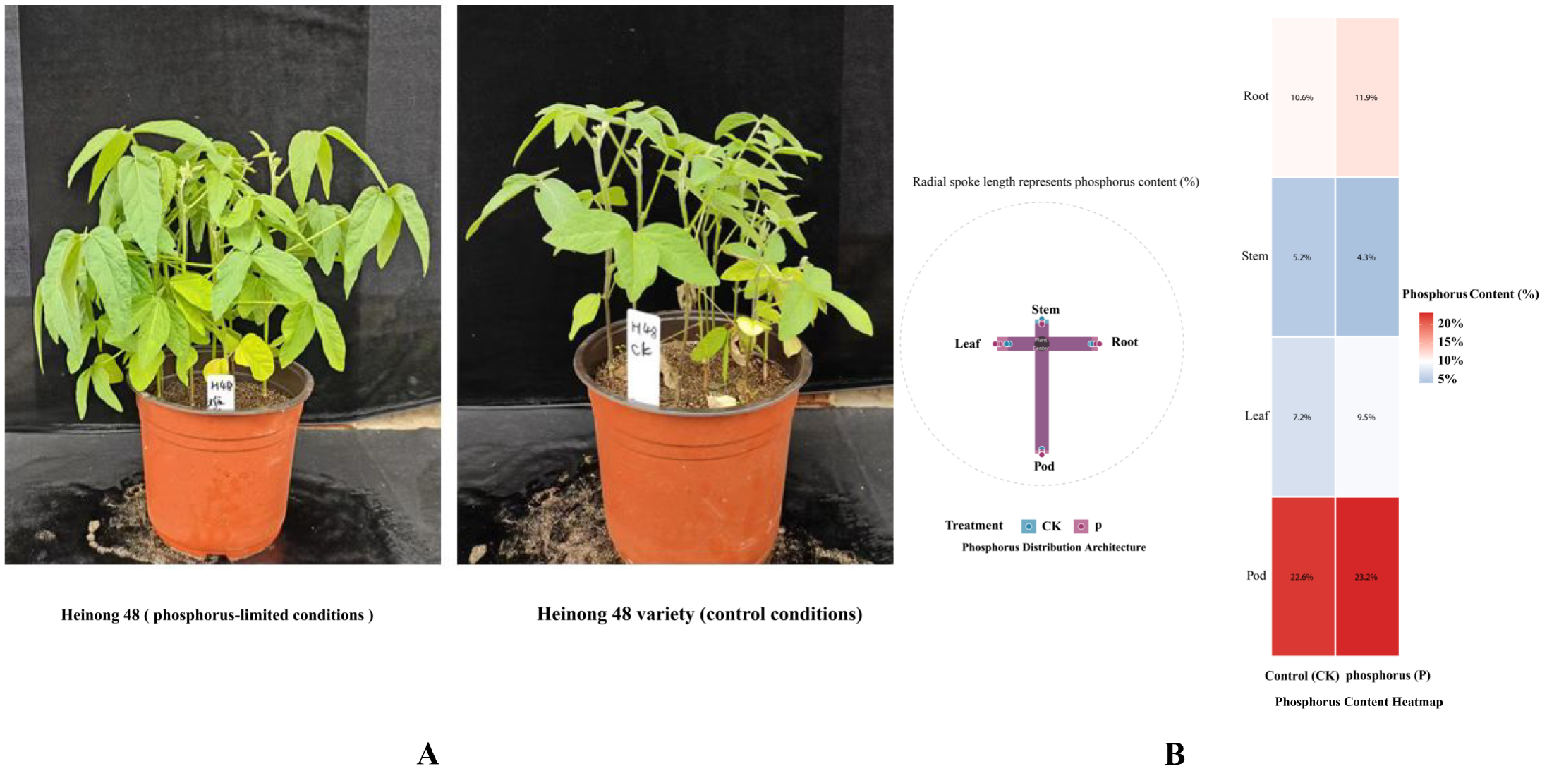 Ijms 26 08385 g001 Ijms 26 08385 g001