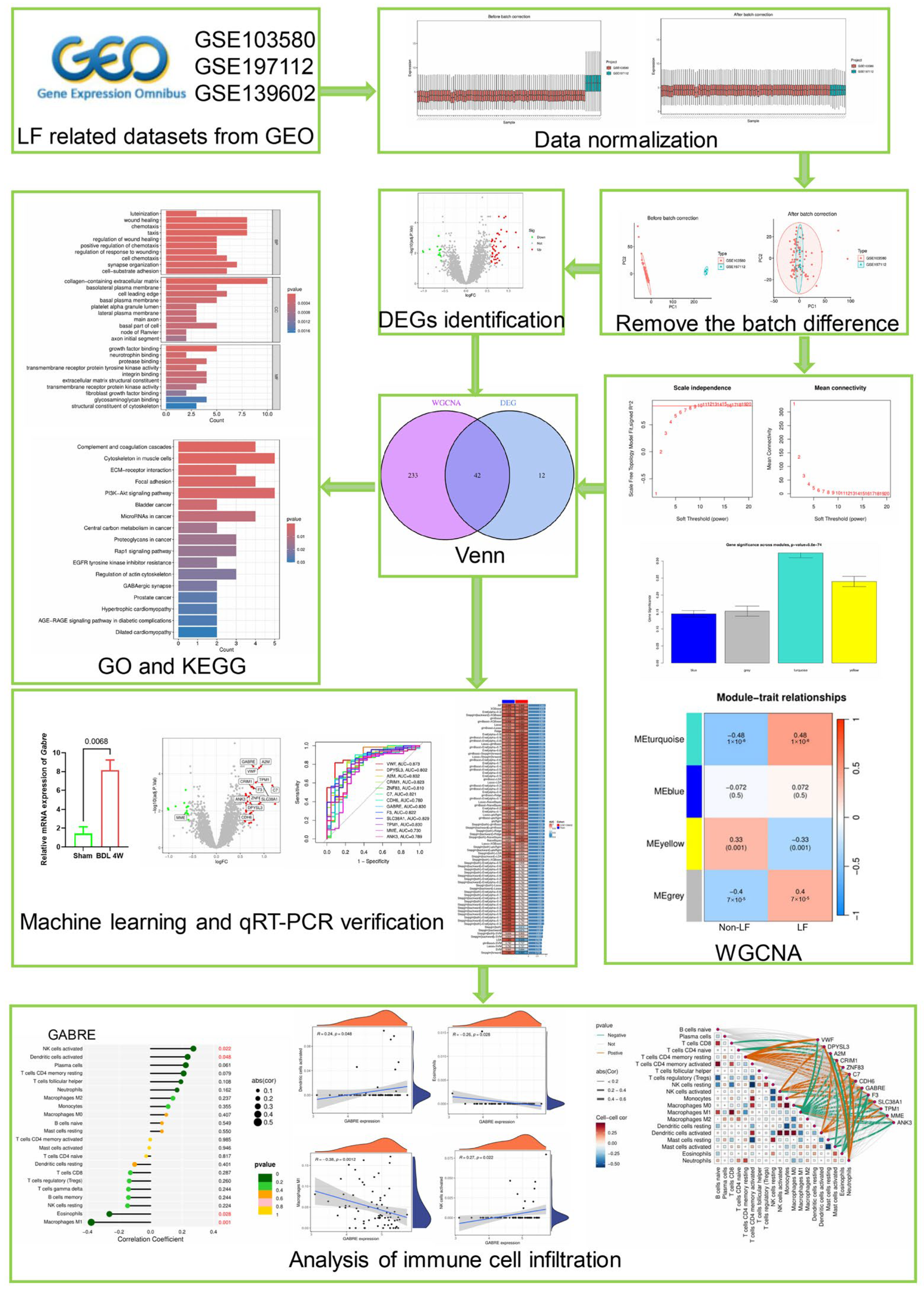 Ijms 26 08387 g001 Ijms 26 08387 g001