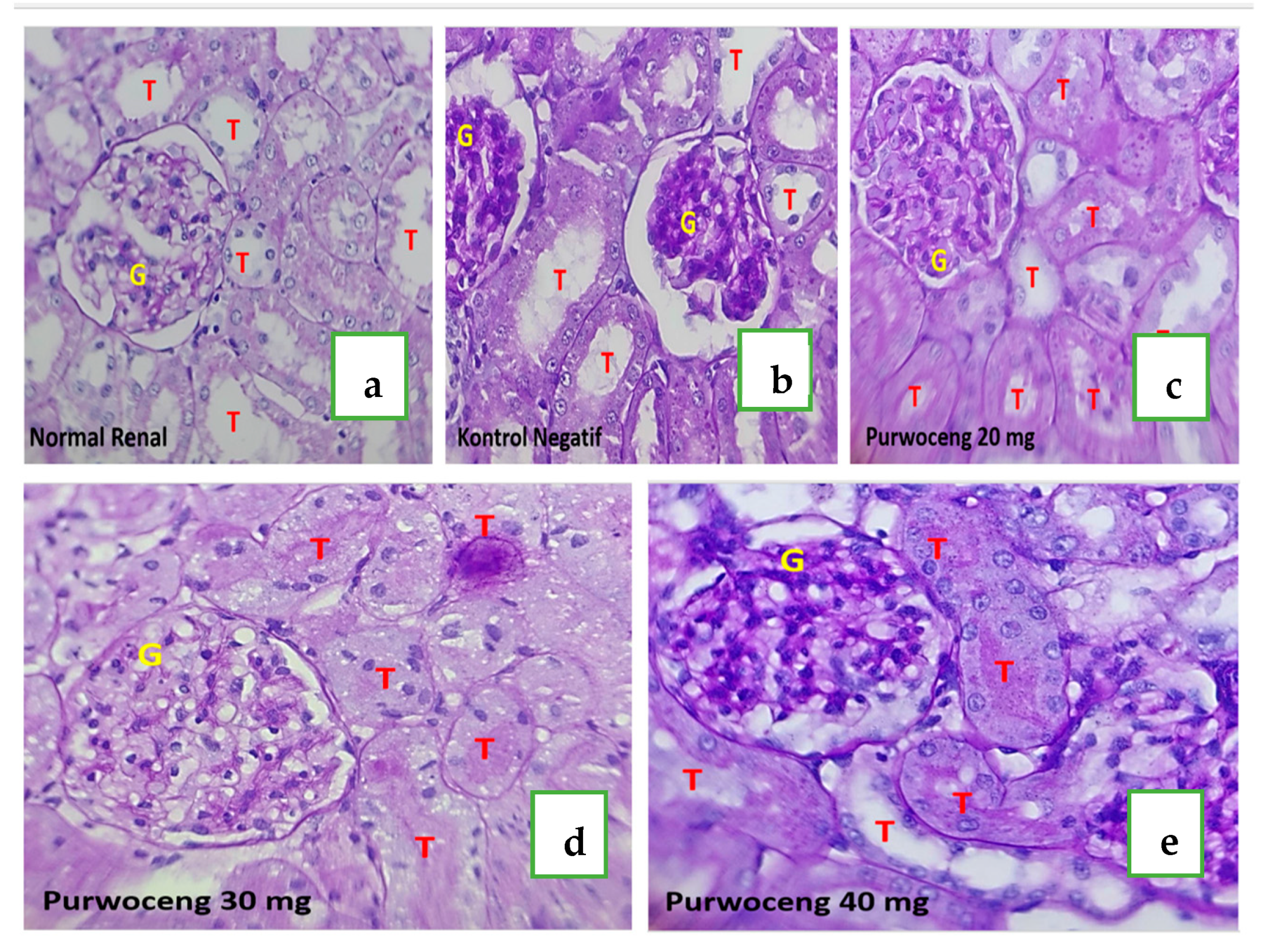 Ijms 26 08404 g003 Ijms 26 08404 g003